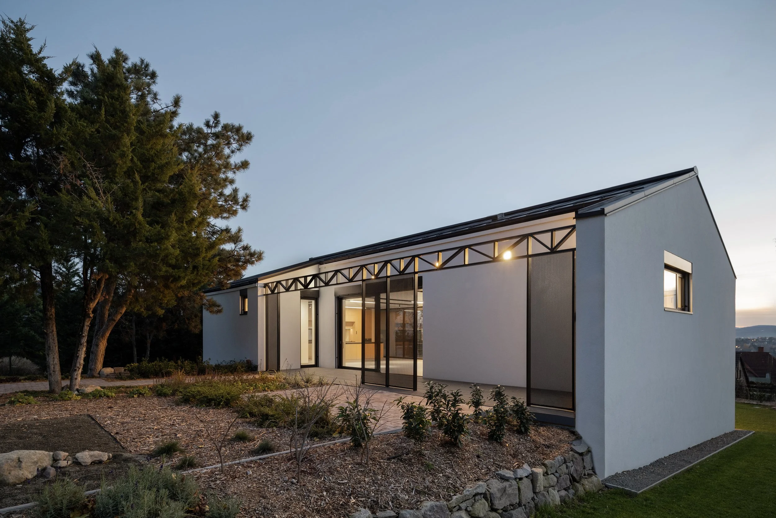 Modern house with large glass windows and a sloped roof, situated next to a tall, dense pine tree in a landscaped yard at sunset.