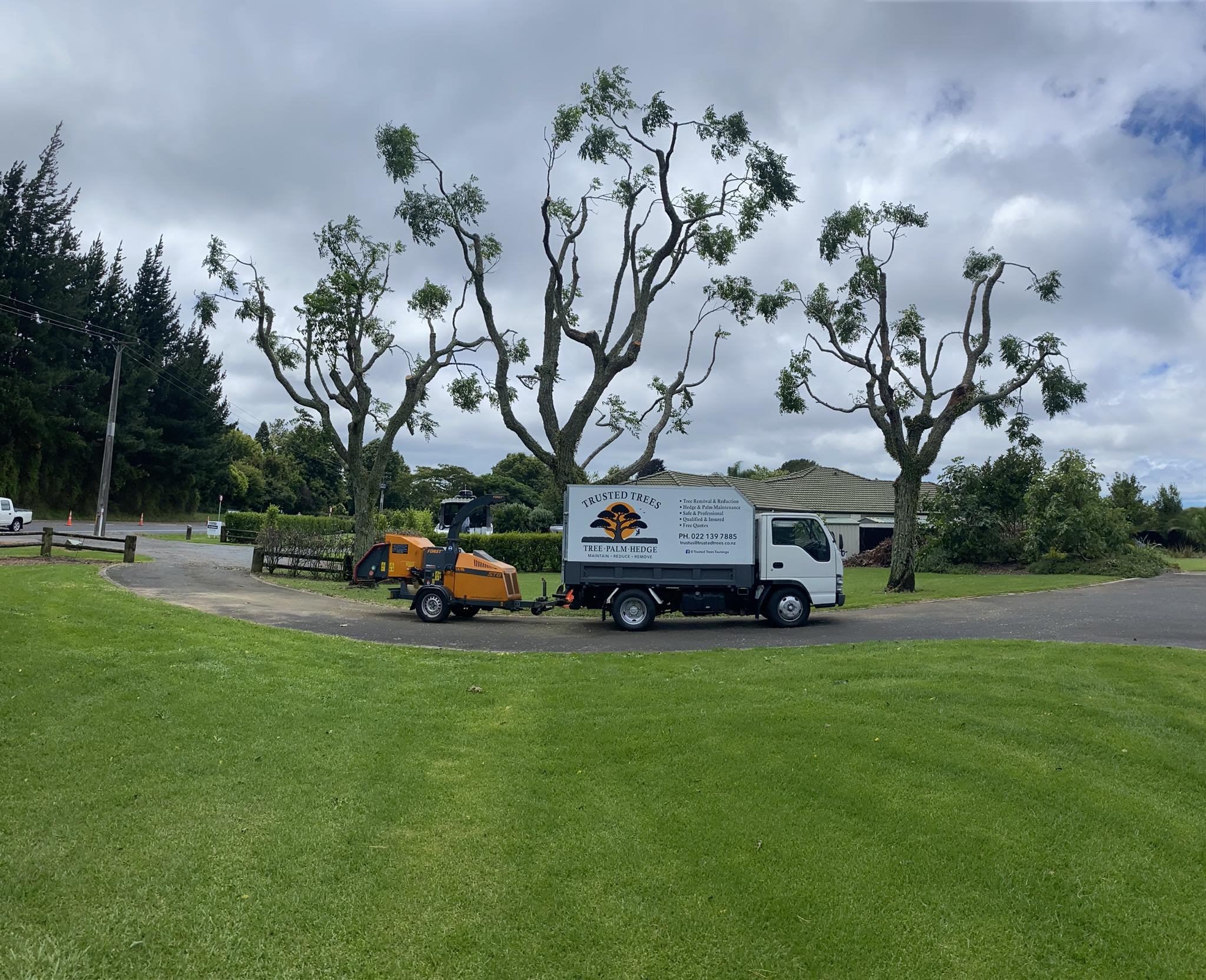 Tauranga Trusted Trees.jpg