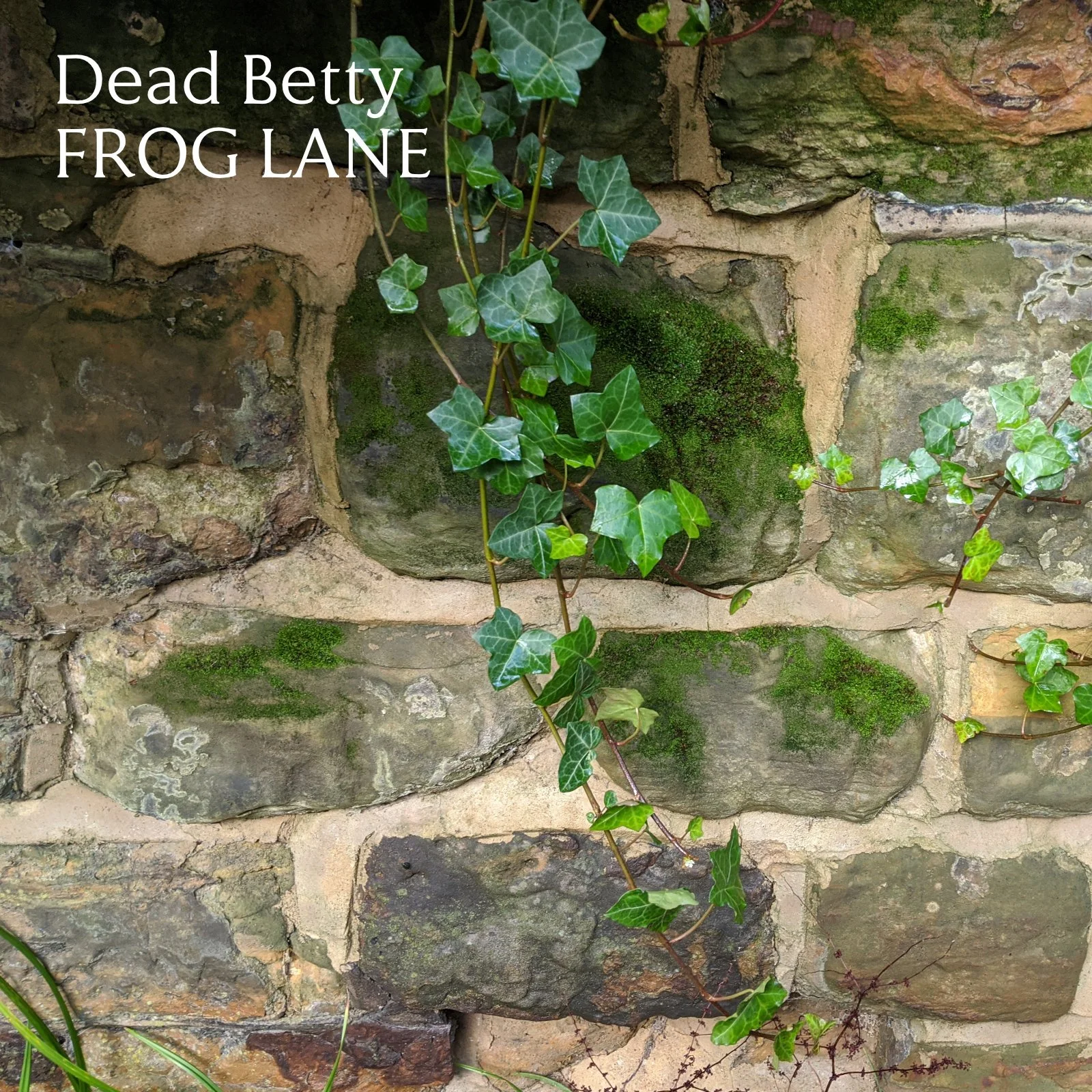 Dead Betty - Frog Lane