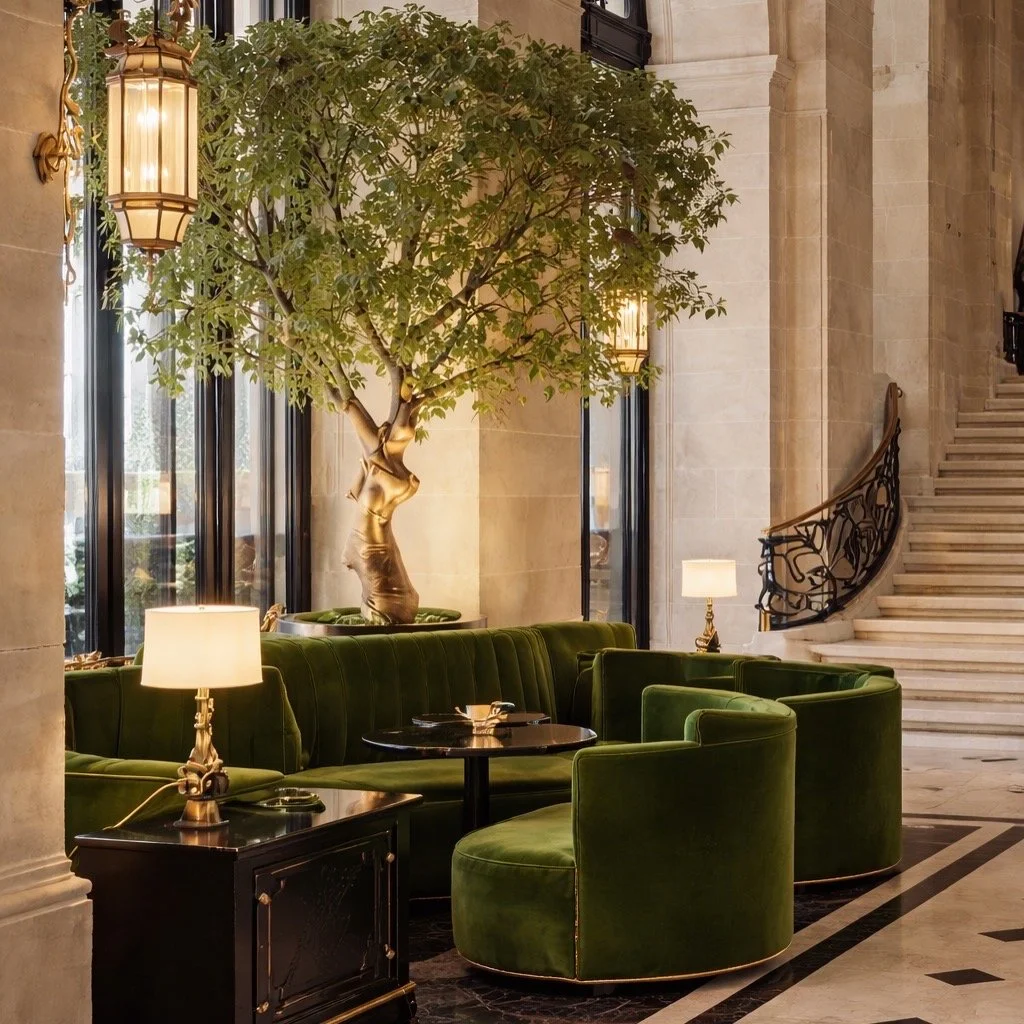 78185482-2DF3-4A3A-AC97-297764DACC00 2.JPG