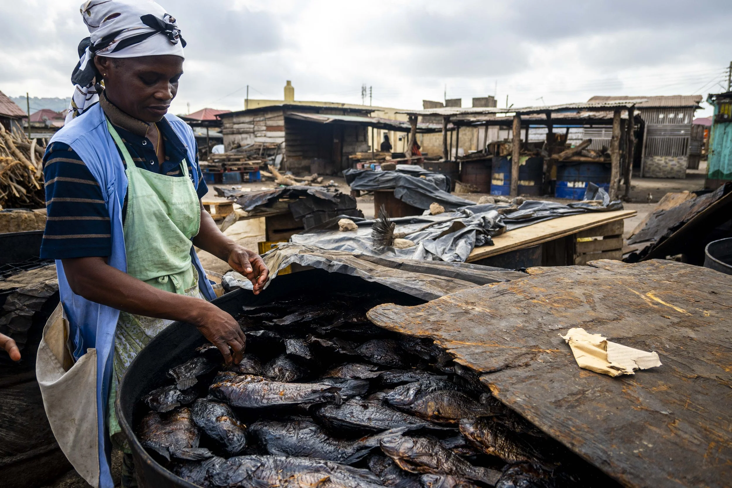 Ghana aquaculture: building the foundations for responsible growth