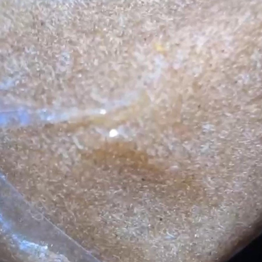 Fresh frozen bubble hash — loose blonde trichome heads close up