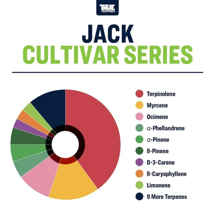 Jack_Cultivar_Terp_Wheel.jpg
