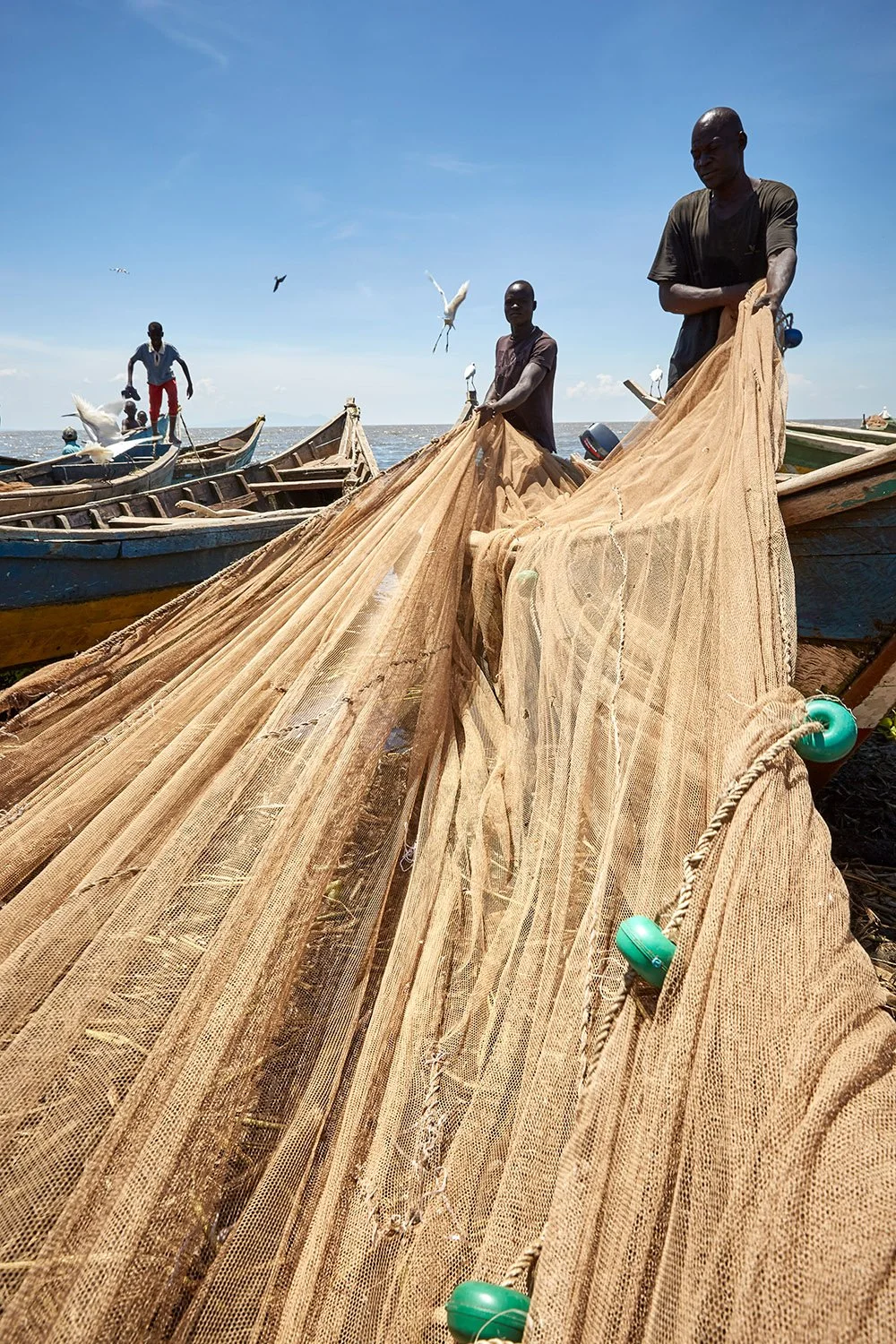 Fishing nets need constant repair and are expensive to replace. After a fishing expedition, the crew lays its nets out on the shore to dry, Kisumu, Kenya, 2019.