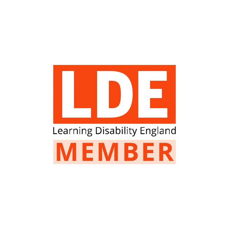 LDE Member logo for Learning Disability England with large red and white text and smaller black text.