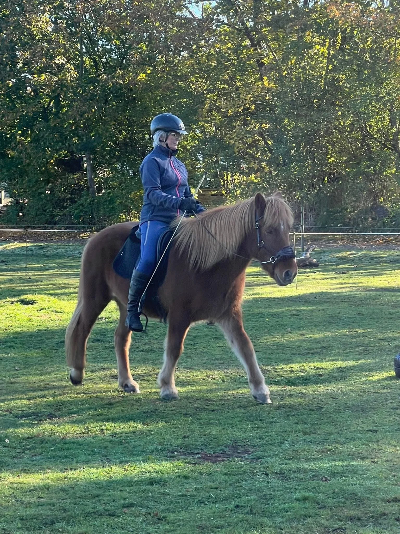 Isulven centreret ridning.JPG