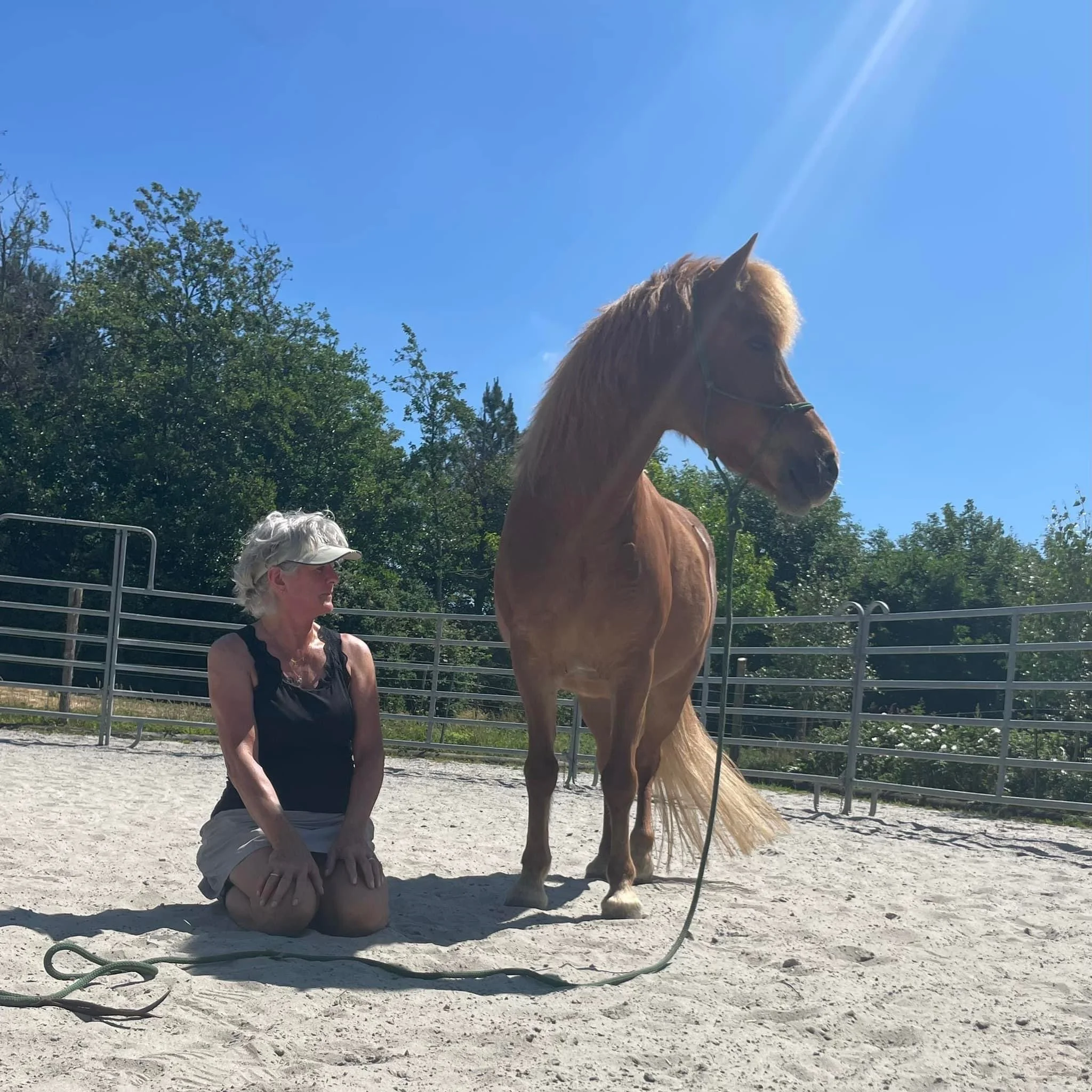 A woman kneeling on the ground next to a chestnut horse with a long mane in an outdoor riding arena on a sunny day, with trees in the background.