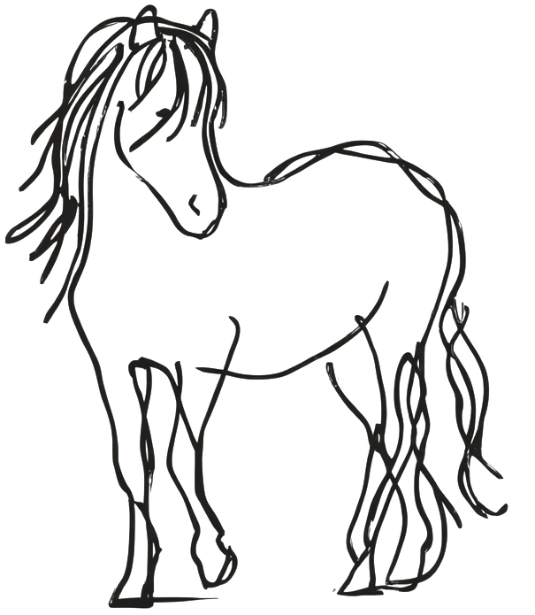 Hesteassisteret coaching og hestetræning hos Anette Grøn