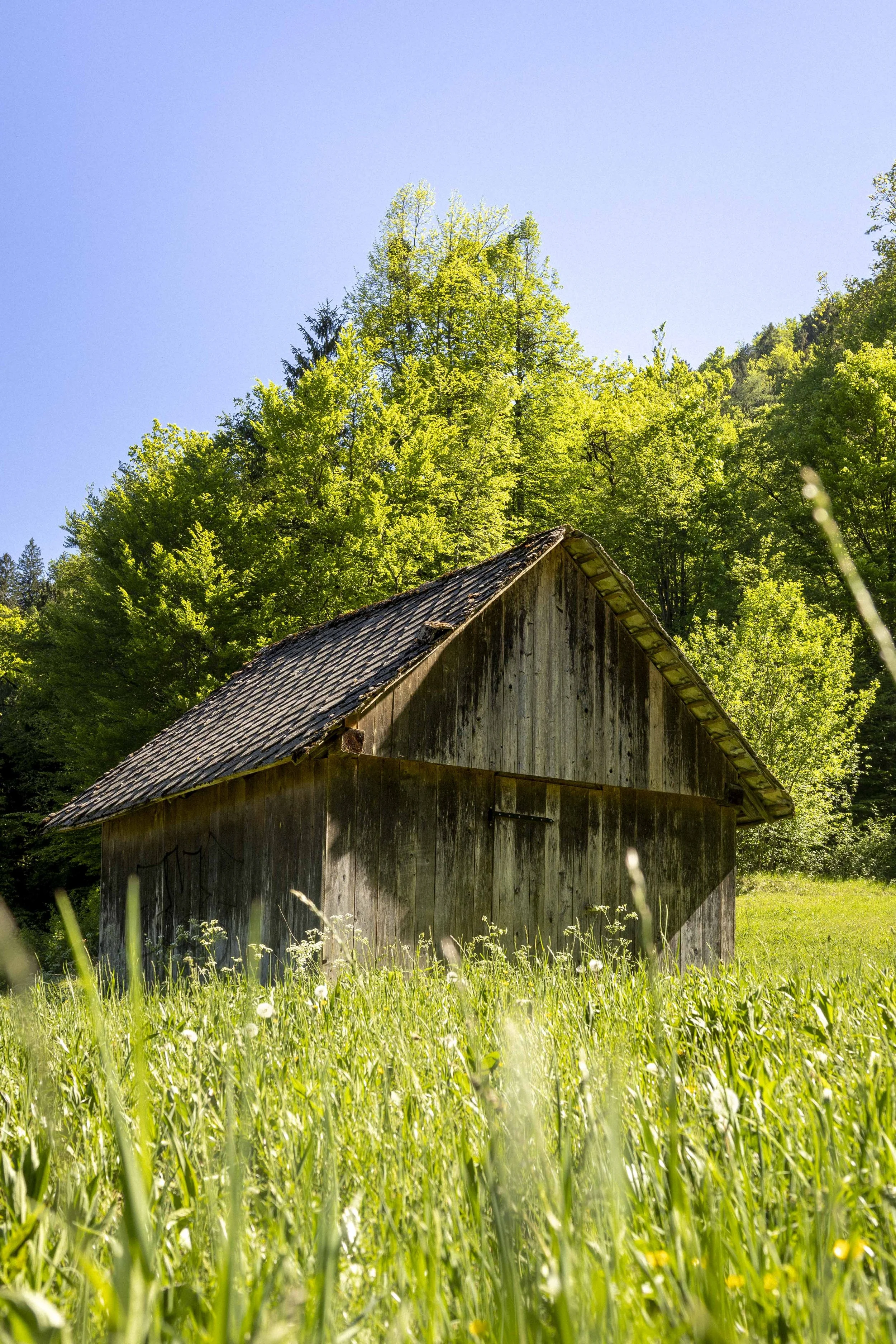 Lake Bled! Brodie Sollid_6.jpg