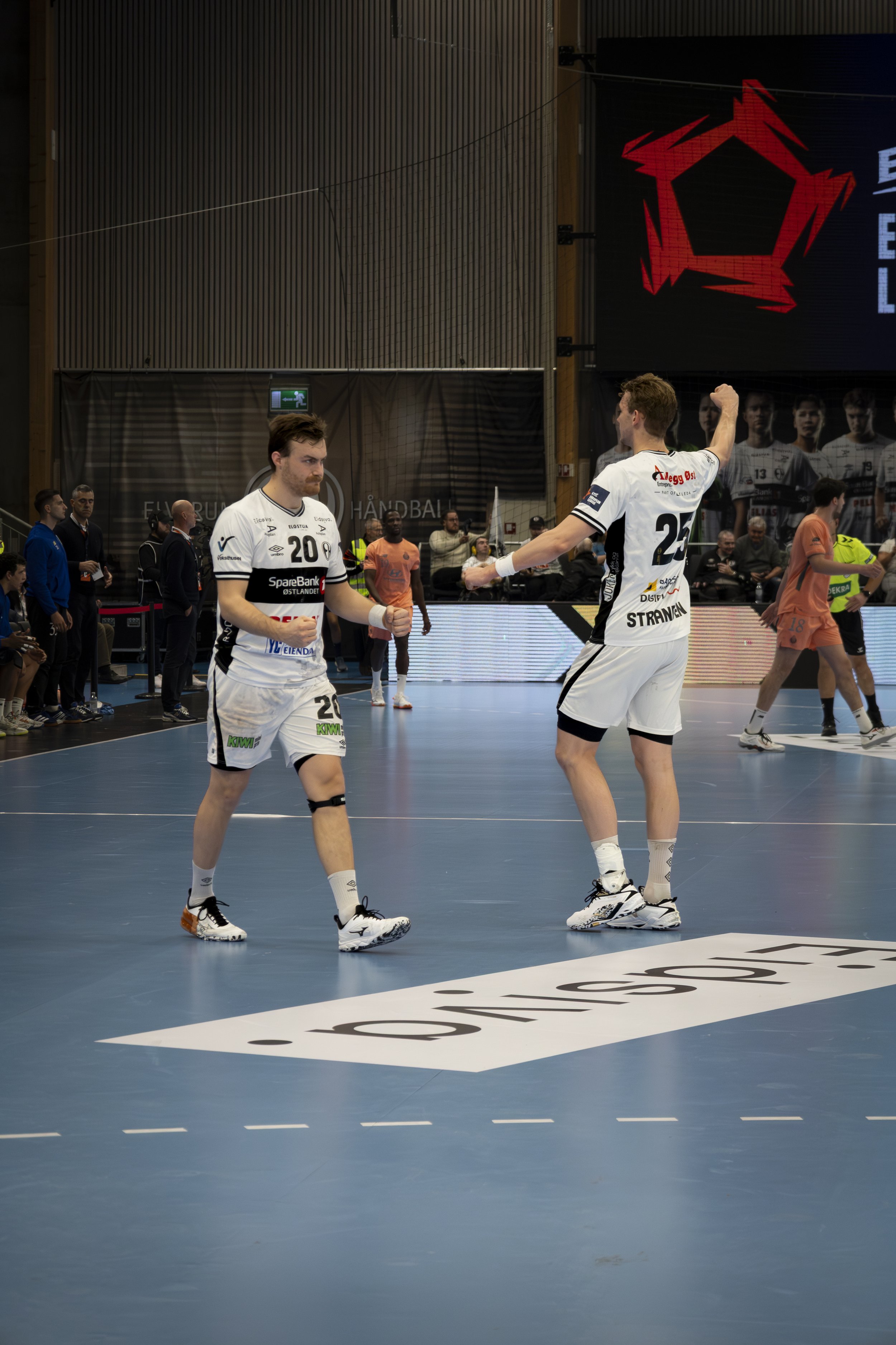 elverum handball nov 11_14.jpg