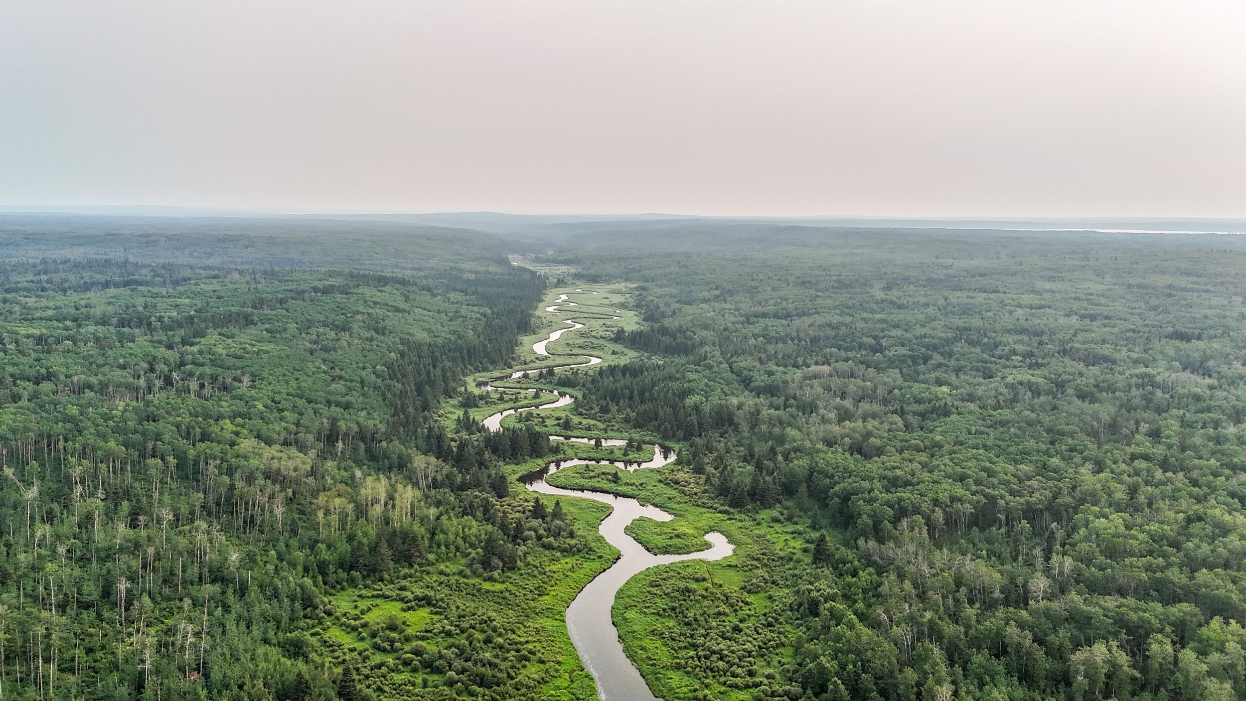 Aerial Imagery
