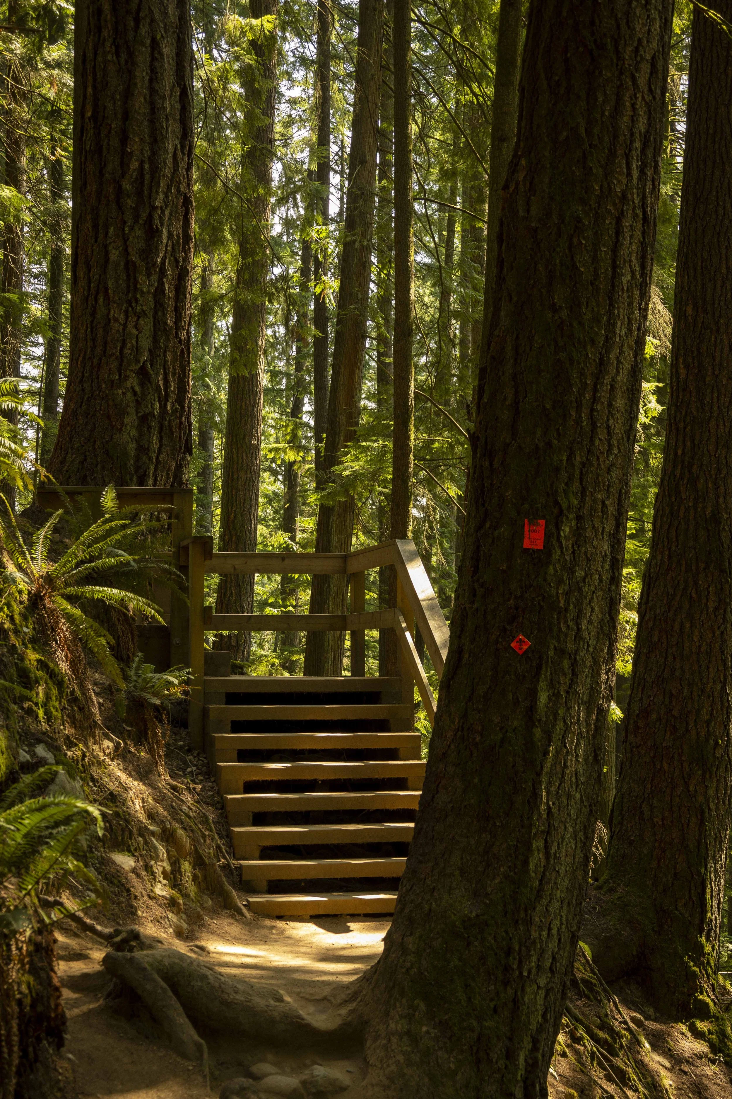 Vancouver Trip Brodie Sollid_5.jpg