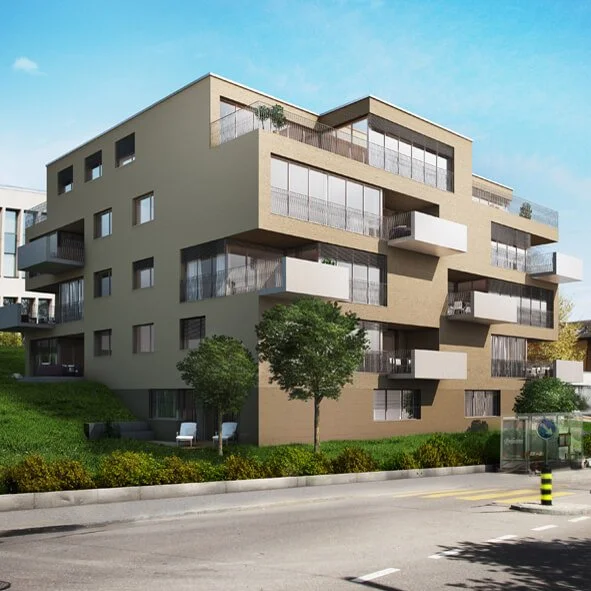 Neubau Haldenstrasse