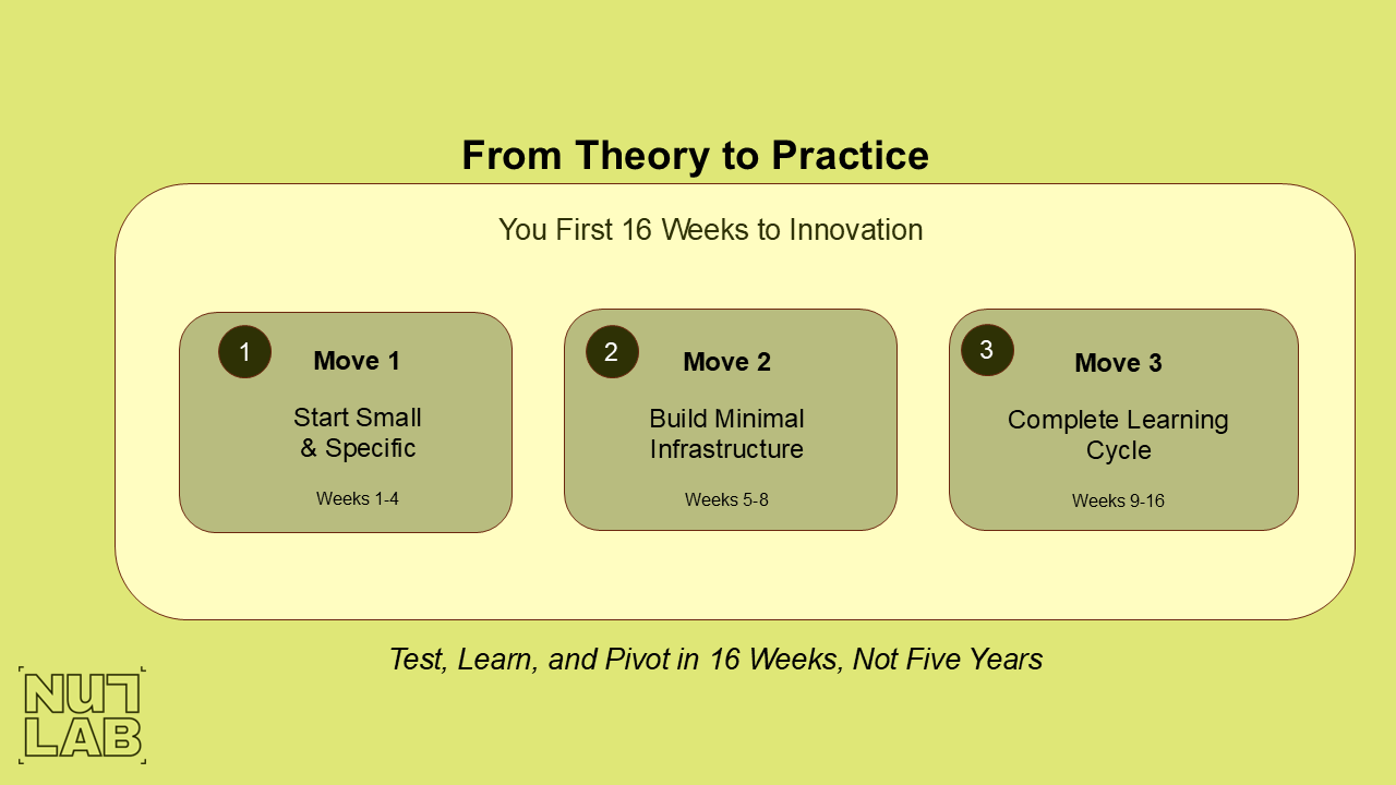 From Theory to Practice: Your 16-Week Roadmap to Innovation