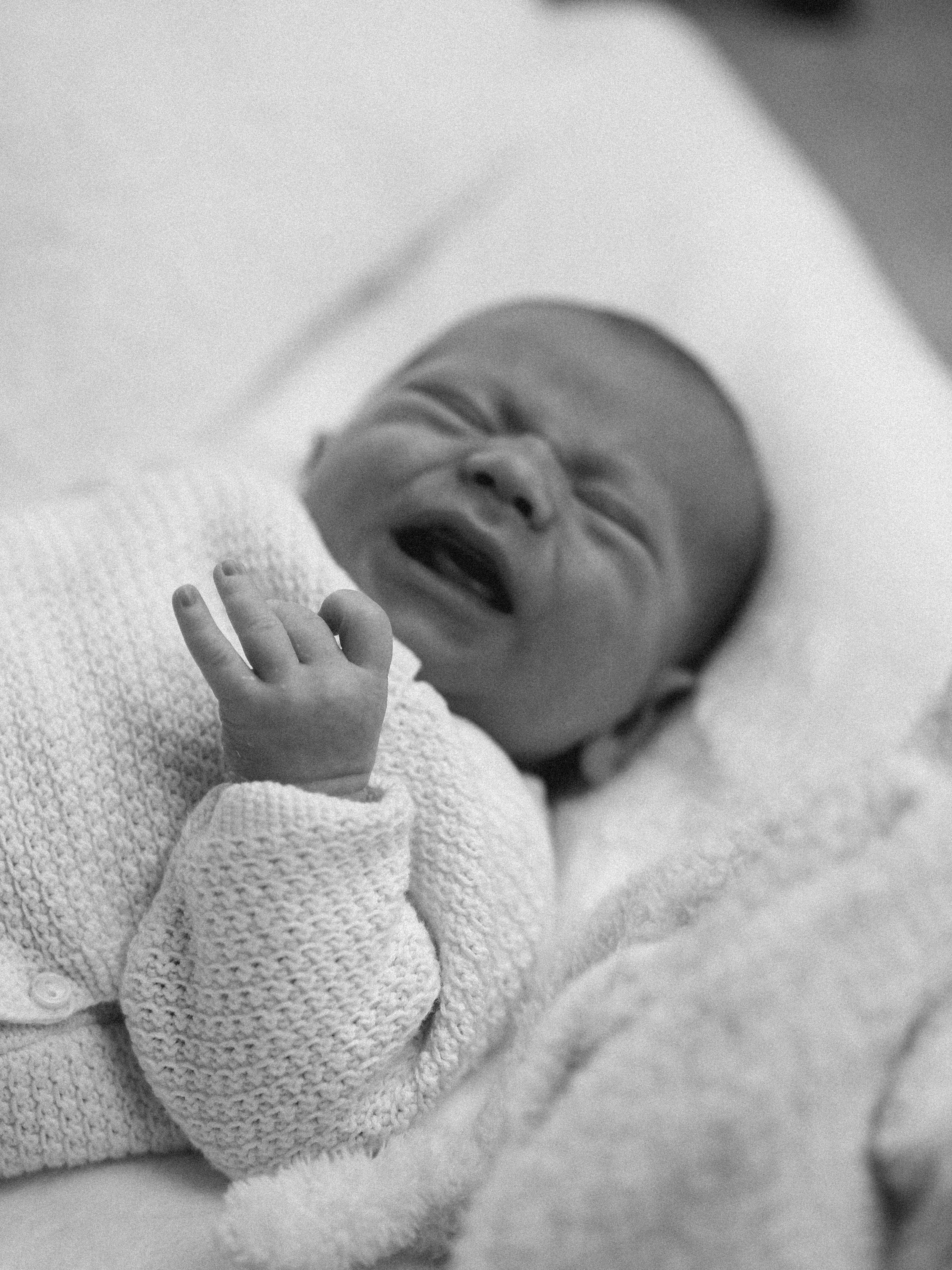 Baby Pearce - Nov 23 (59).png