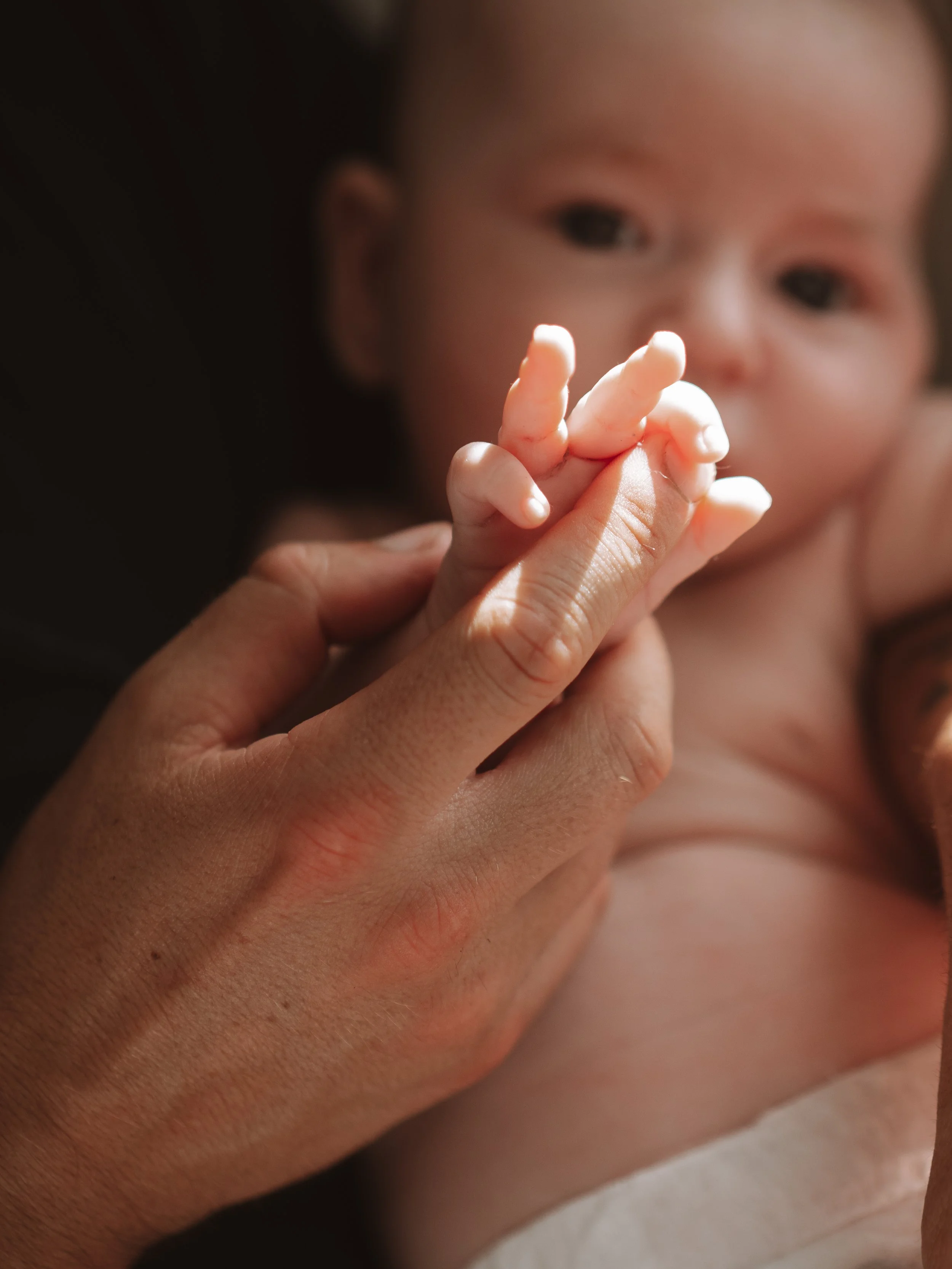 Noah - Newborn Photoshoot - 30 July 2024 (50).jpg