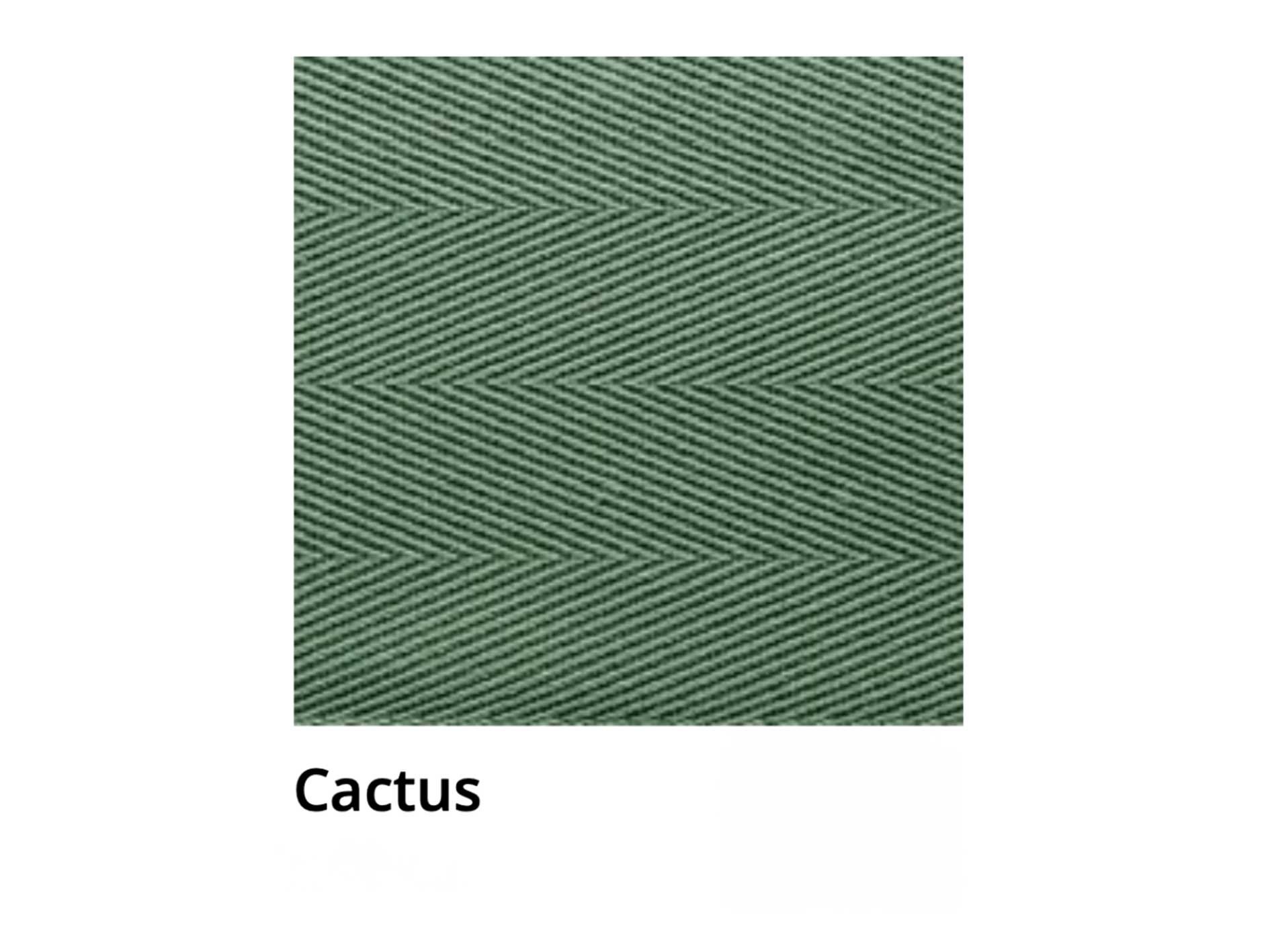 Cactus.jpg