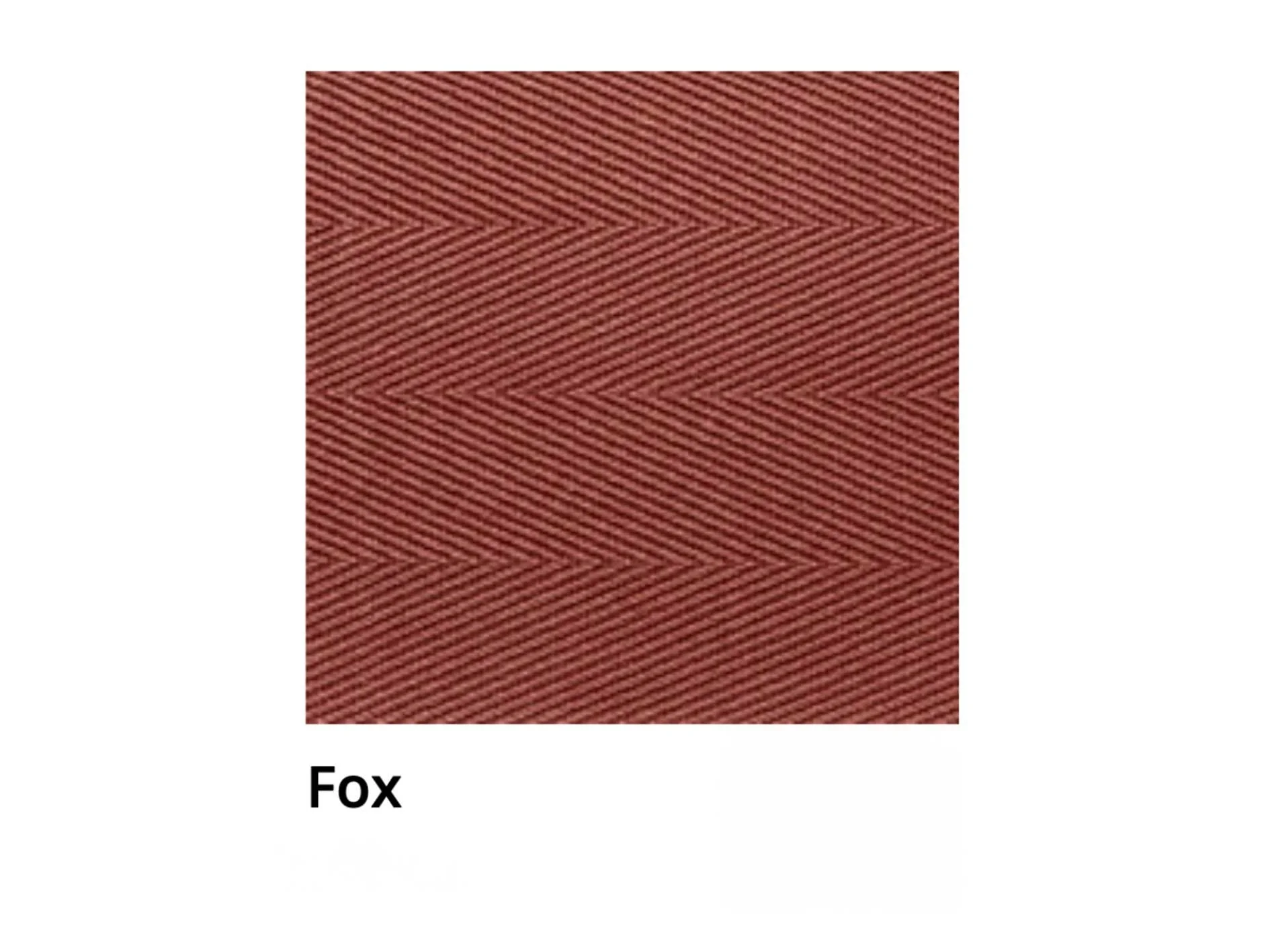 Fox.jpg