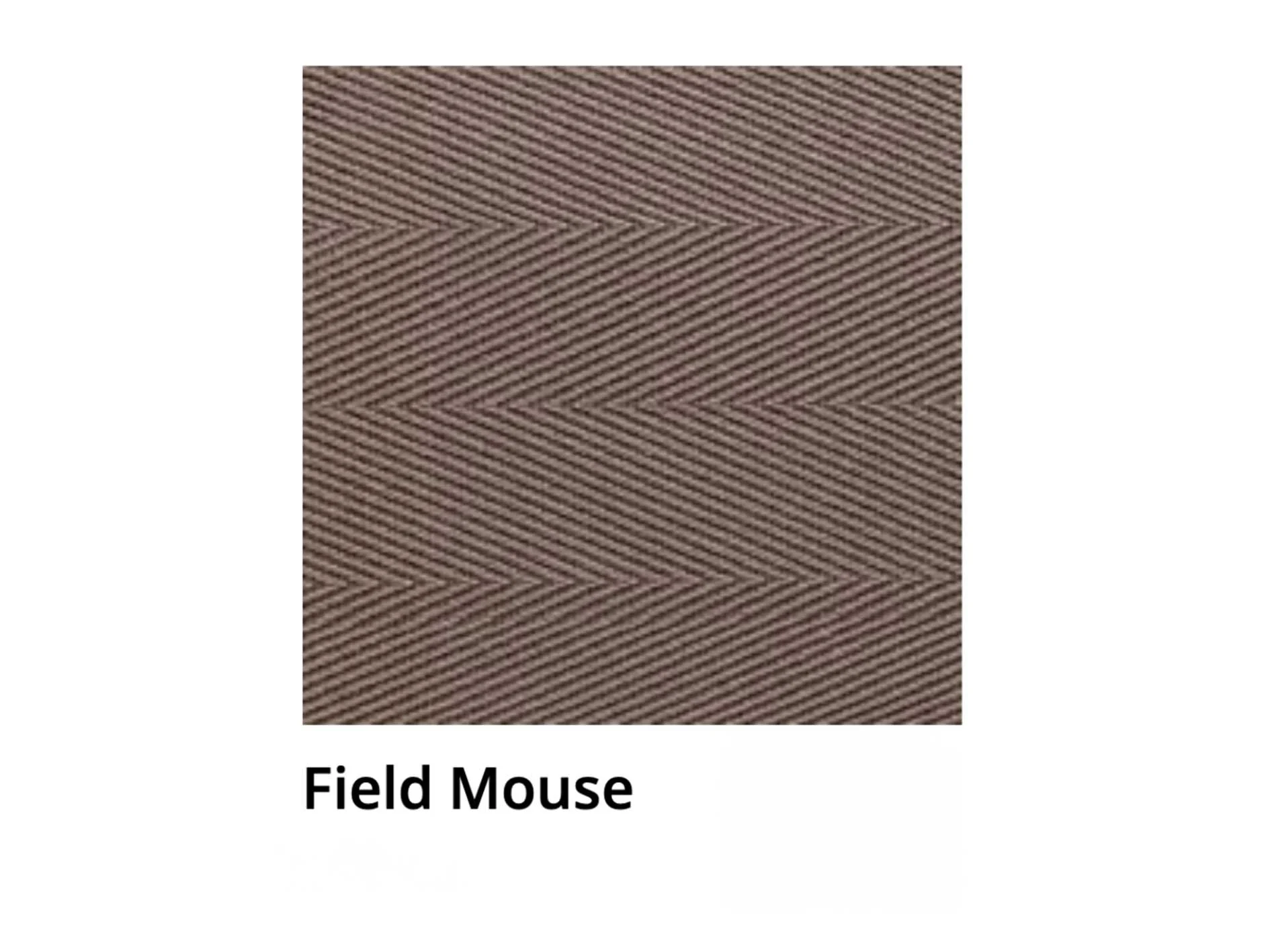 FieldMouse.jpg