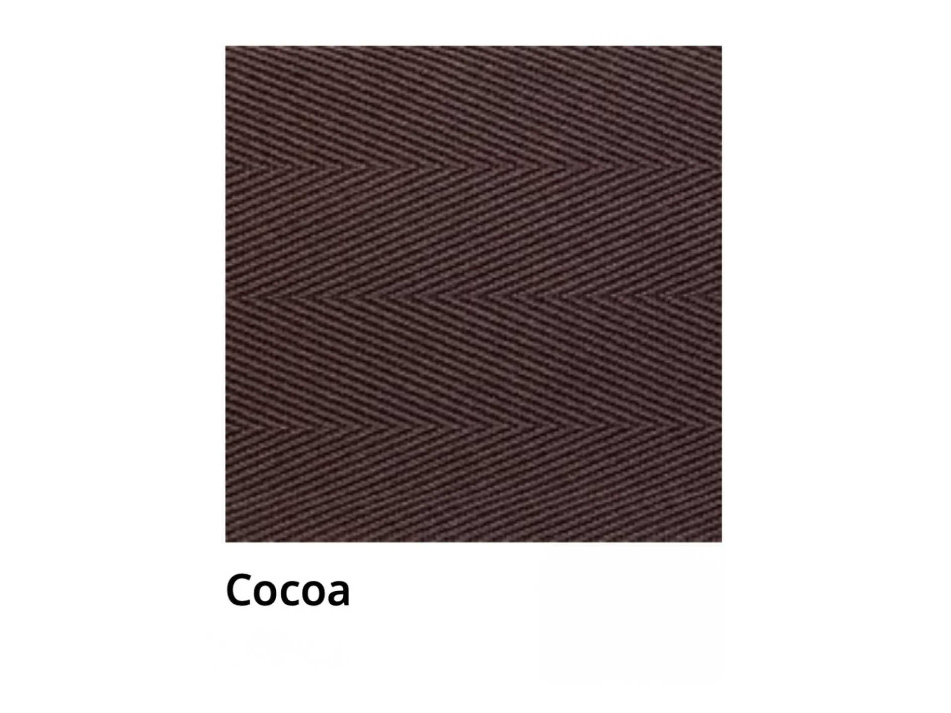 Cocoa.jpg