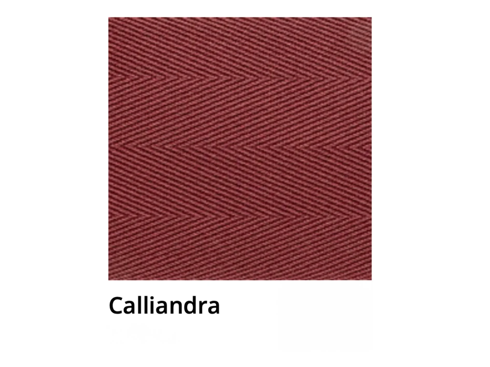 Calliandra.jpg