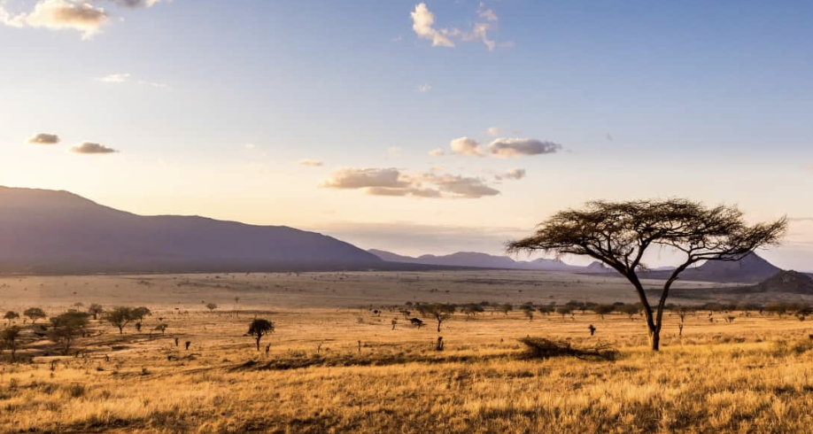 Screenshot 2026-03-22 at 22.10.20.png