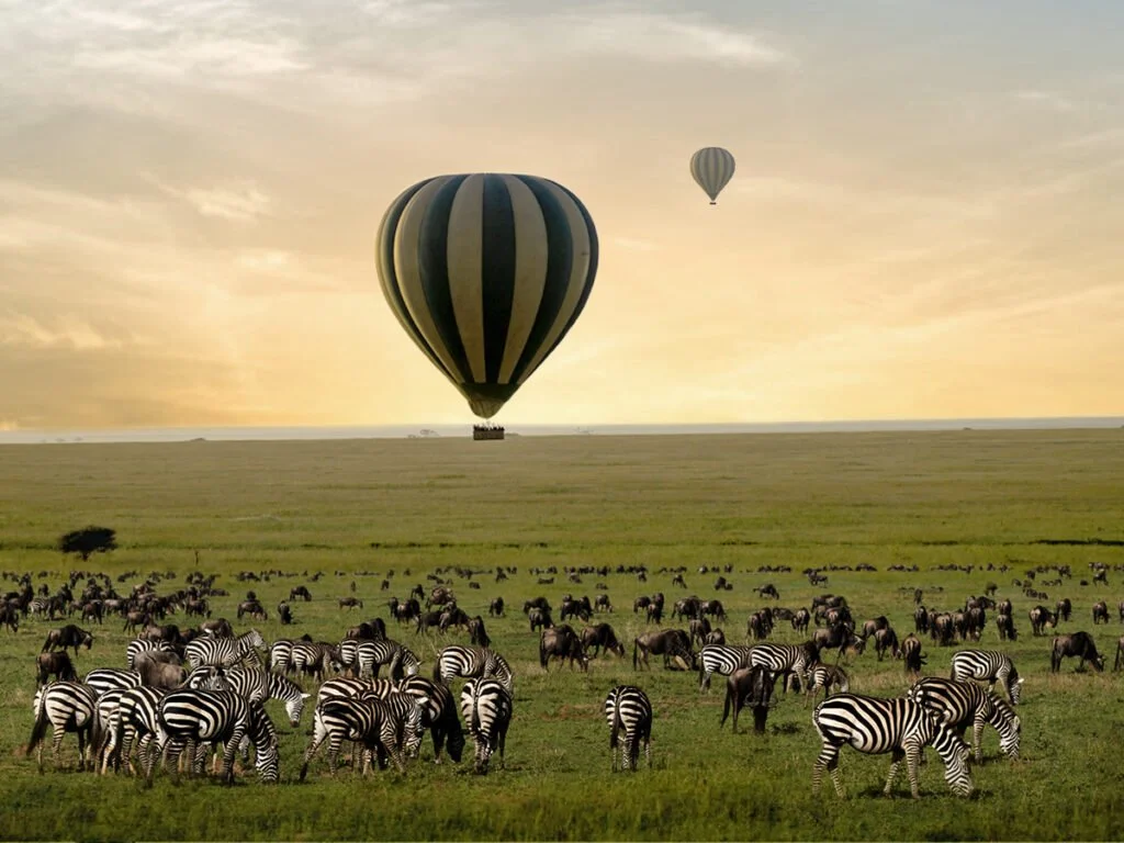 Tanzania-Hot-Air-Balloon.jpg