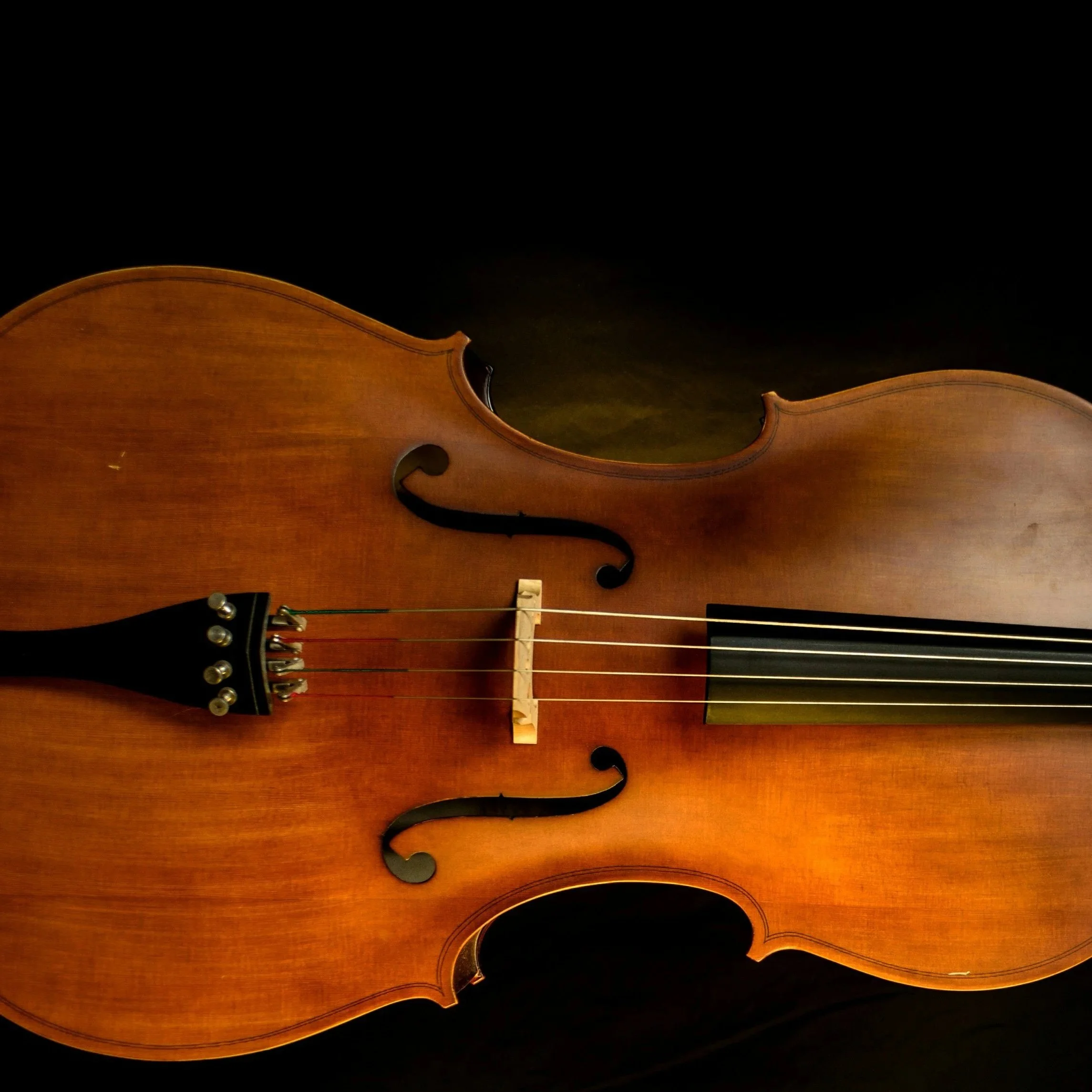 Doctorate Recital: Viola