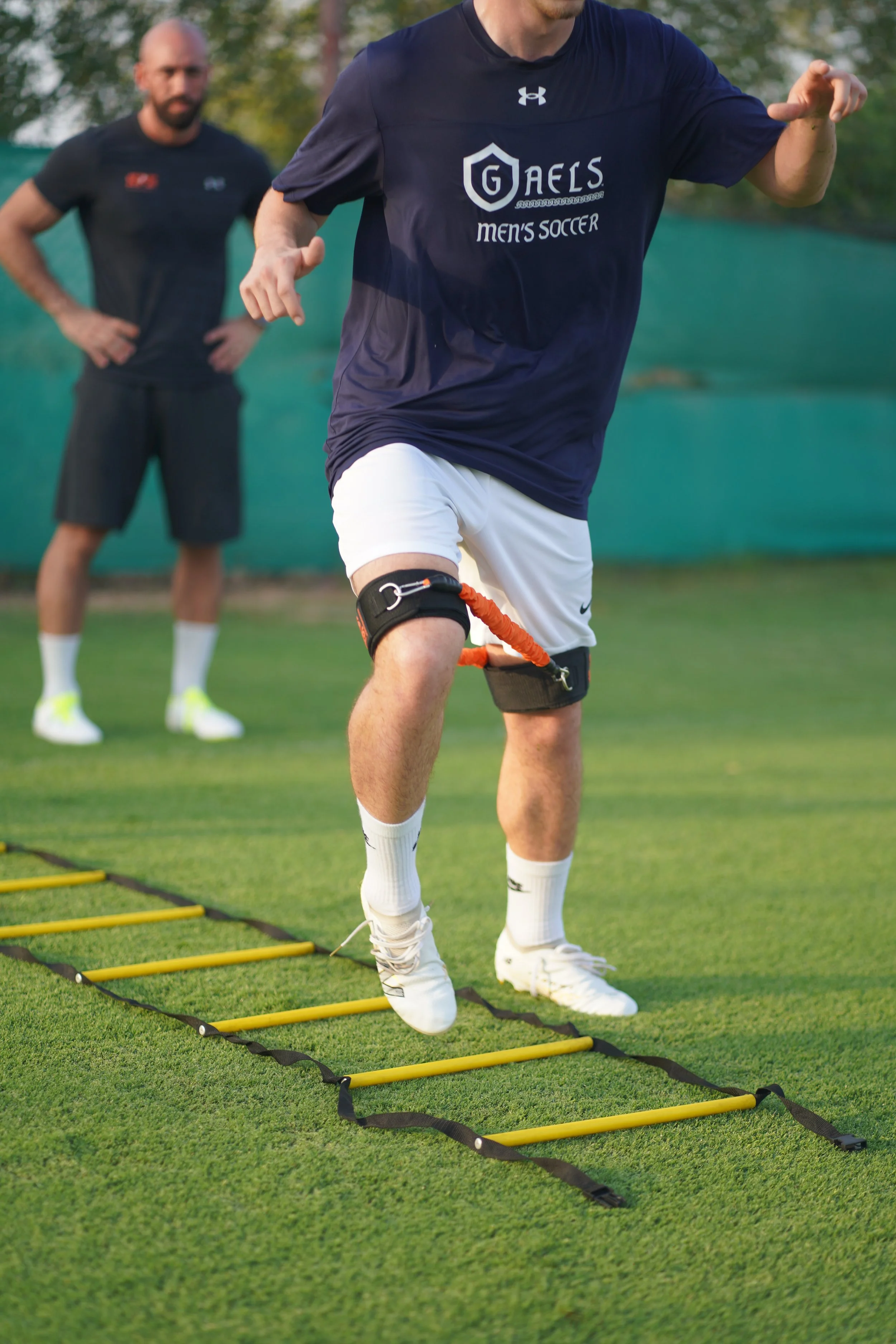 Pro - Individual Pitch Training