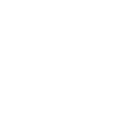 Vessel icon