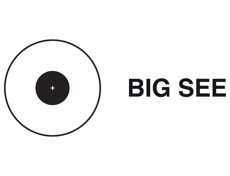 A simplified target icon with concentric circles and a plus sign in the center, next to the words 'BIG SEE' in bold black letters.
