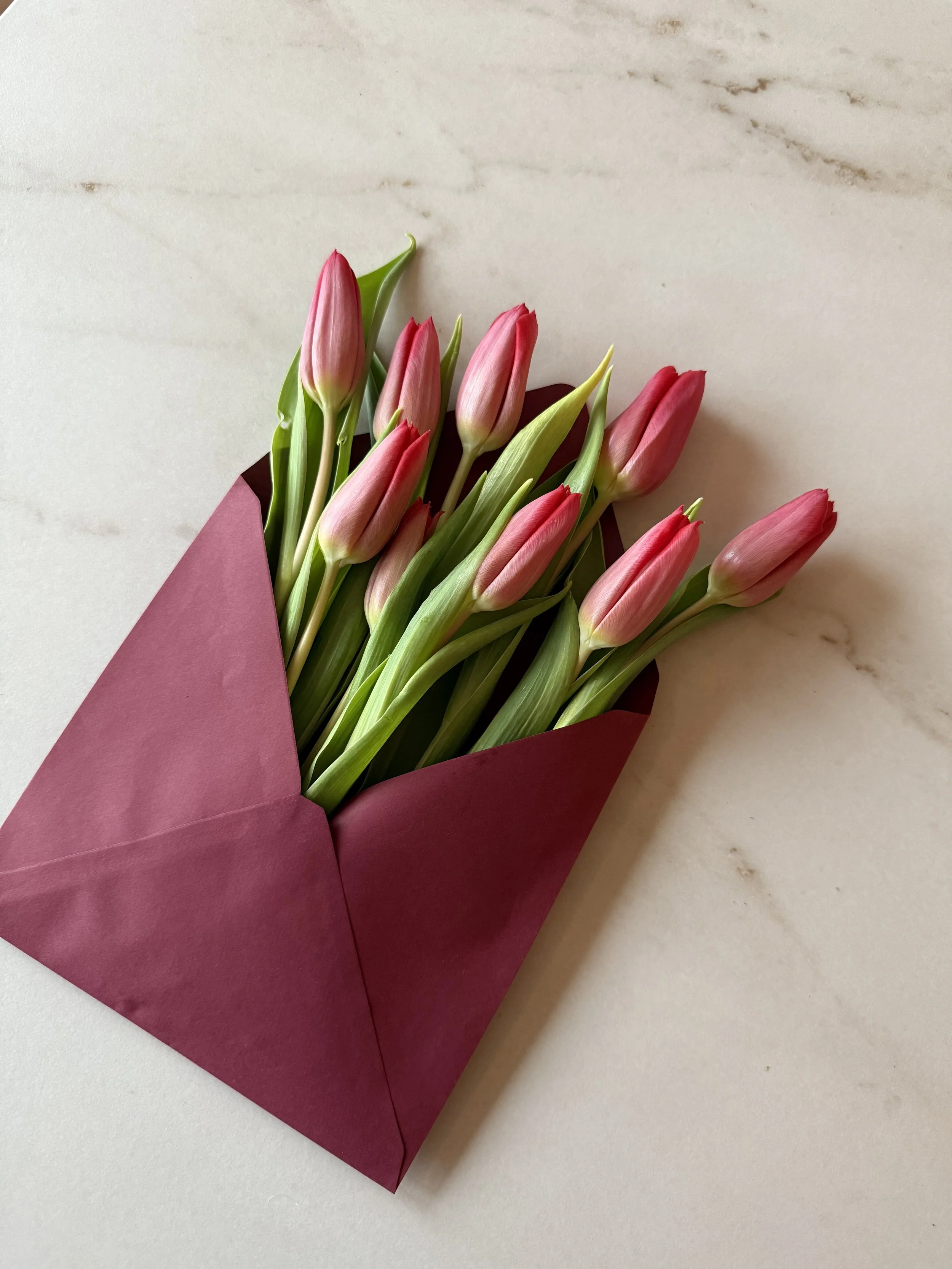 The Unseen Architecture: How Analogue Disciplines Fortify Our Digital World