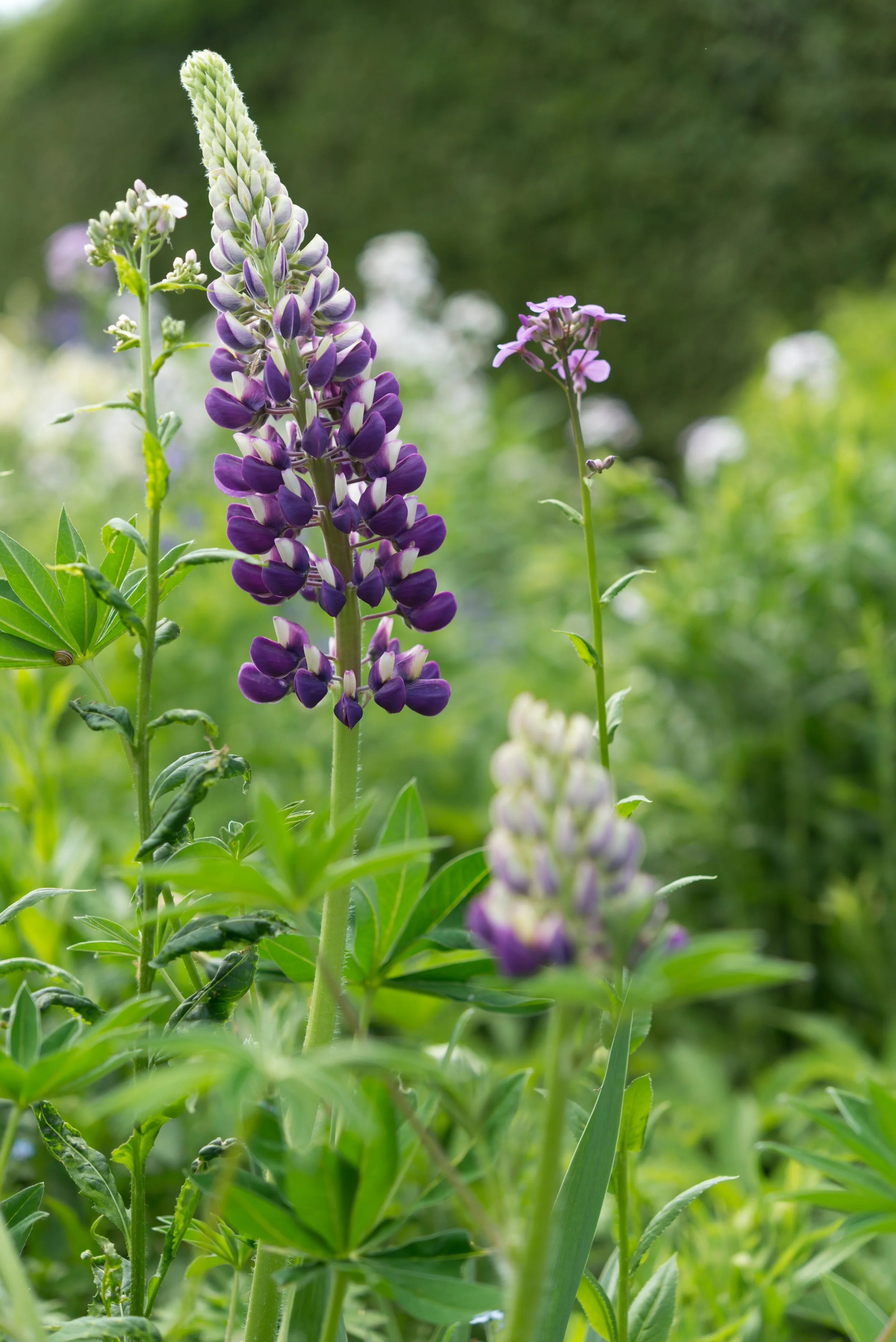 AdobeStock_496535287.jpeg