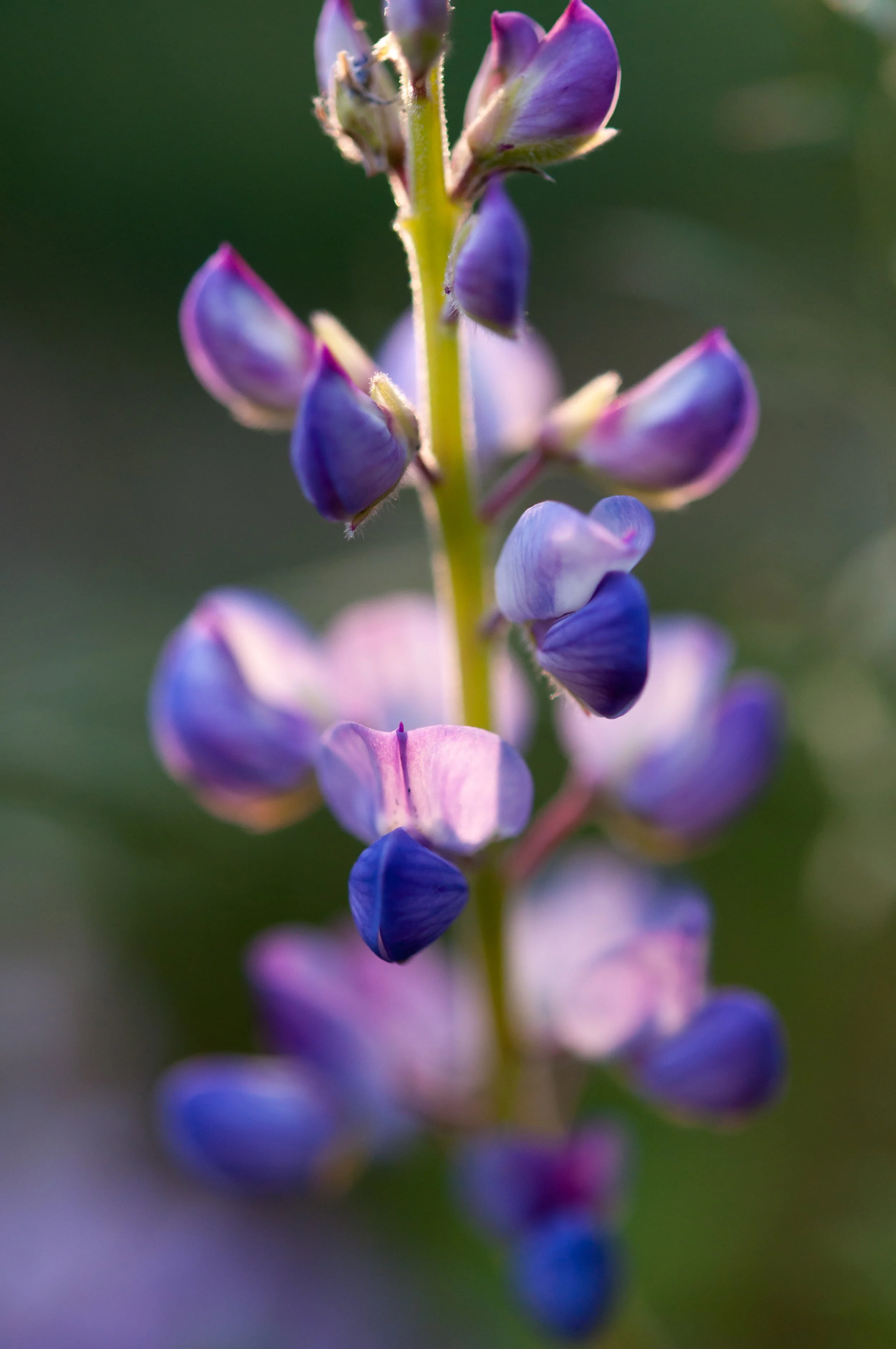 AdobeStock_491659890.jpeg