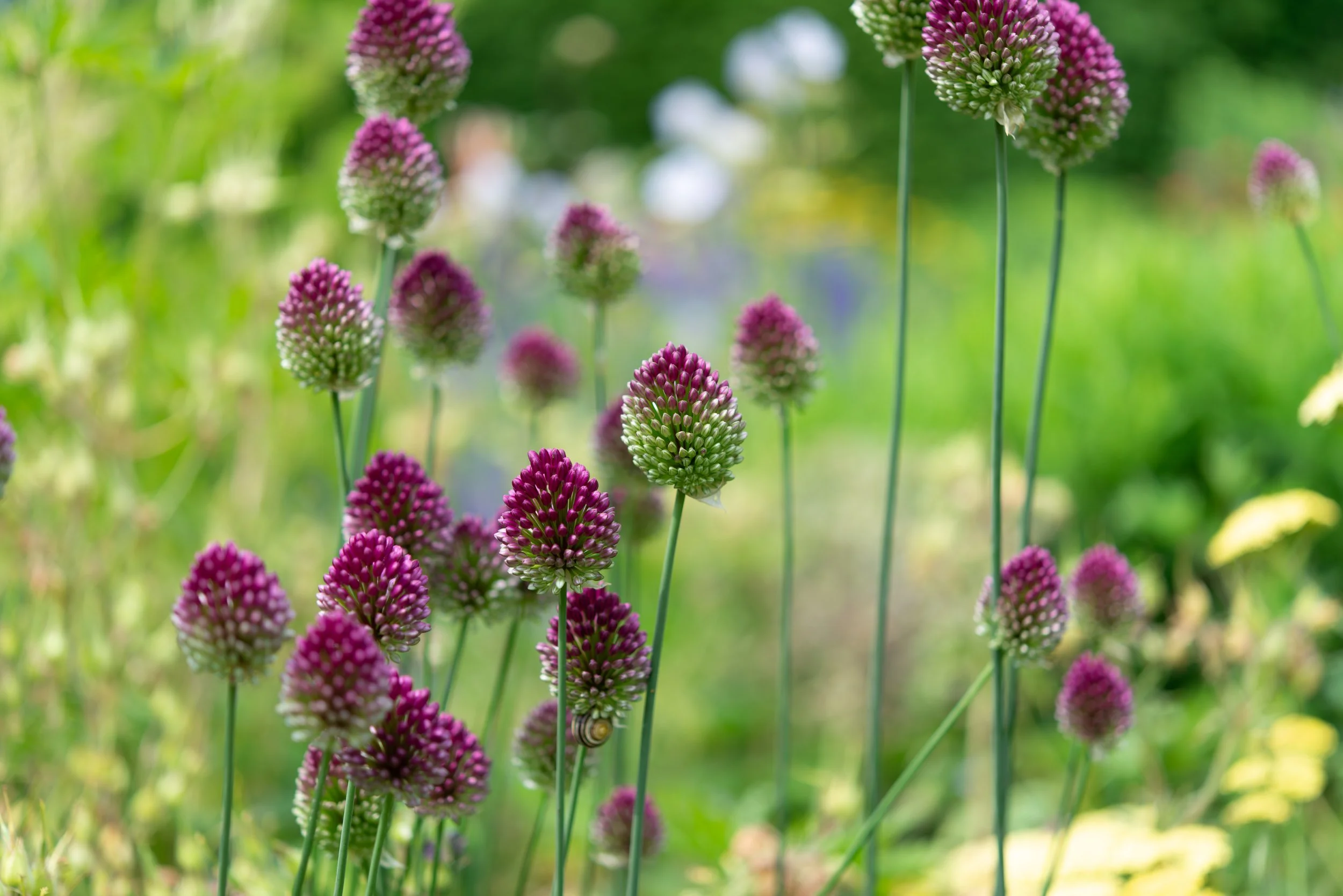 AdobeStock_621392921.jpeg