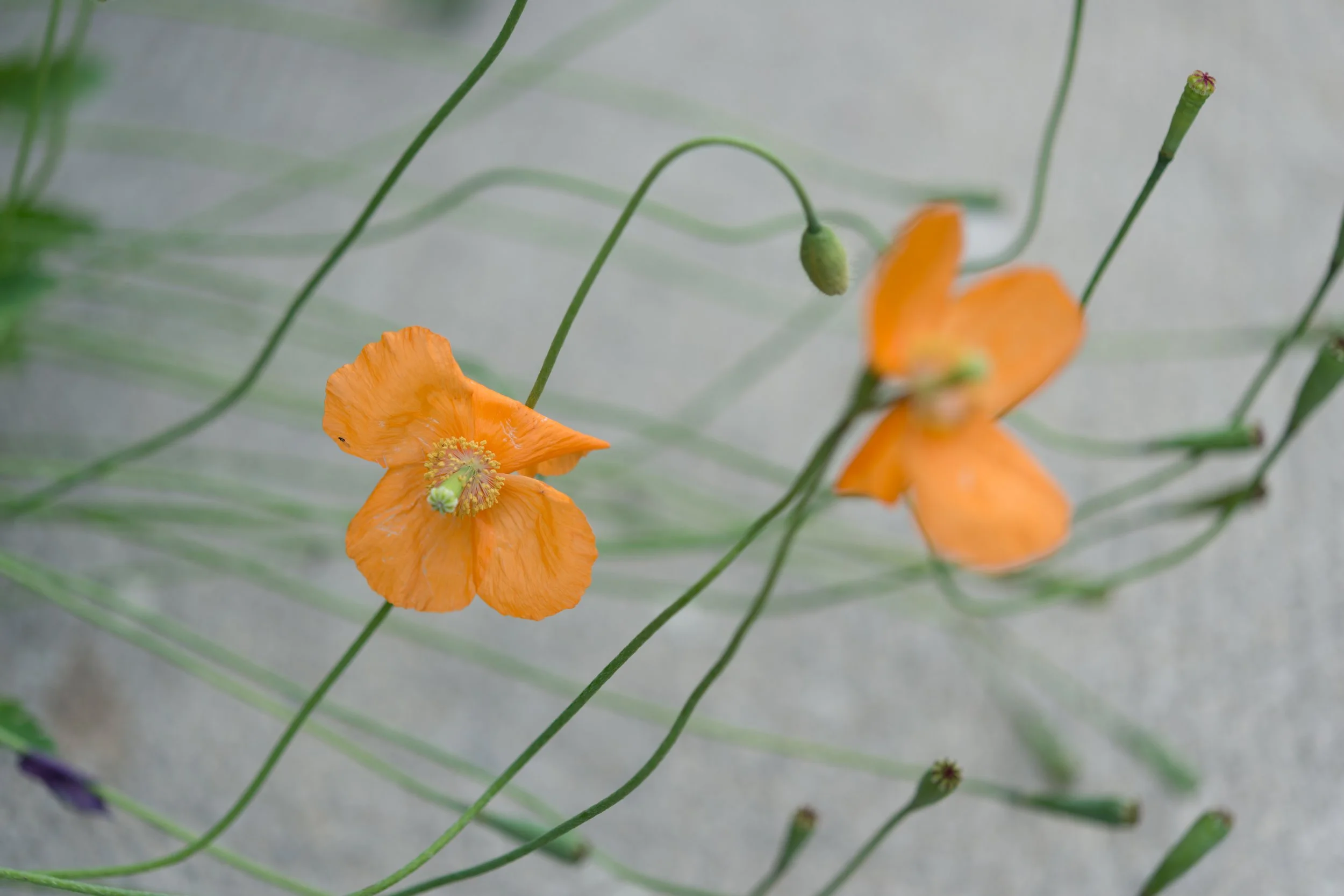 AdobeStock_479101955.jpeg