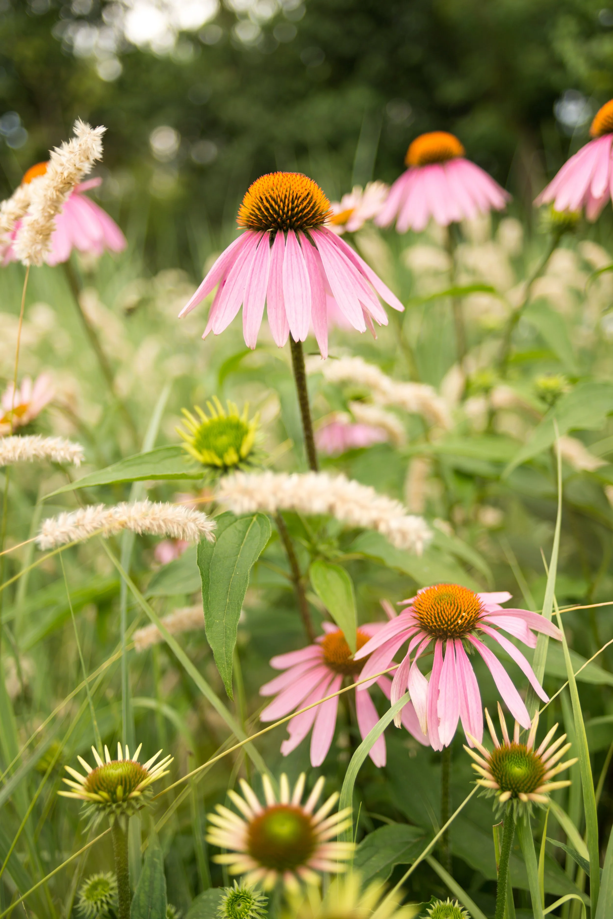 AdobeStock_479103574.jpeg