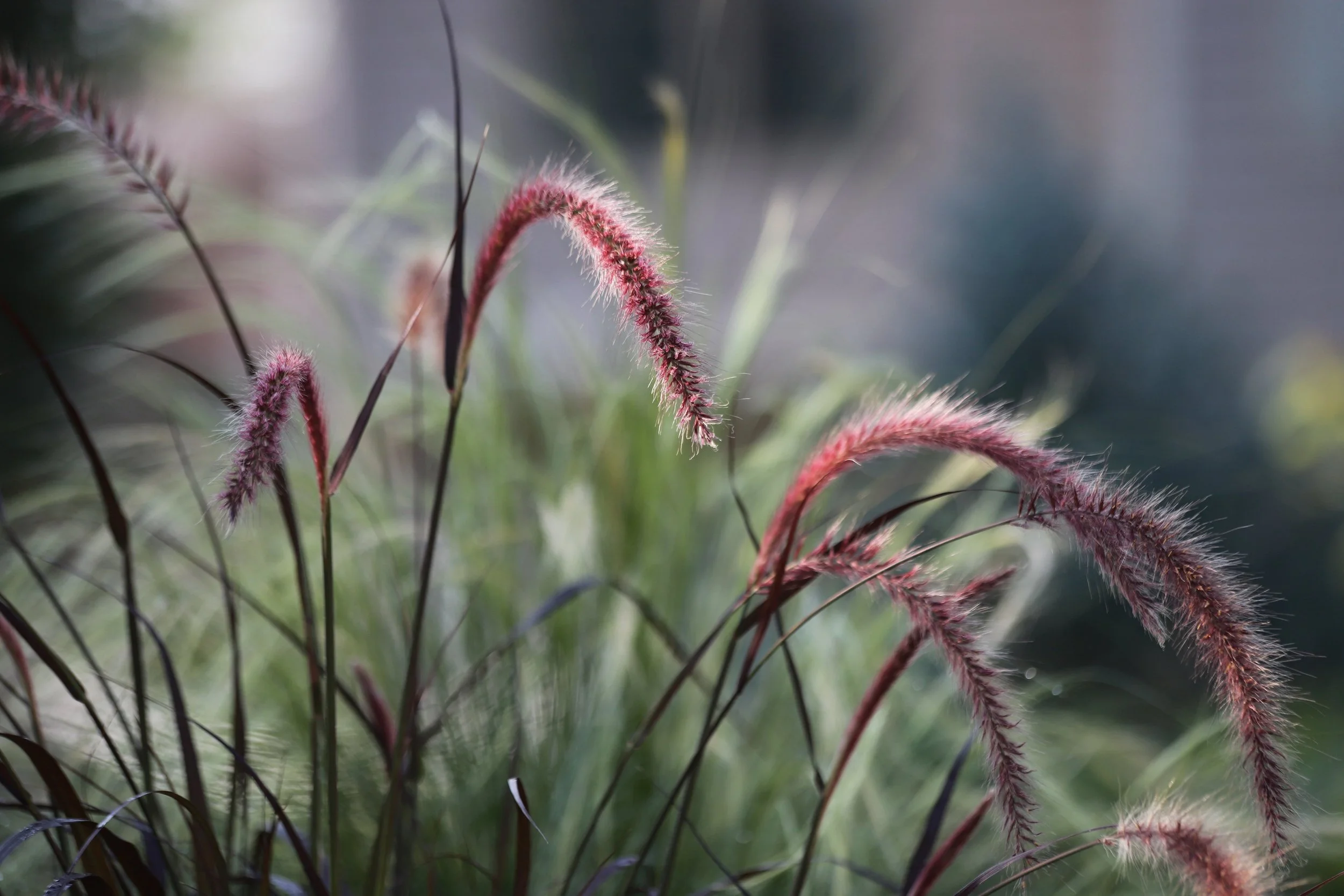 AdobeStock_317615958.jpeg