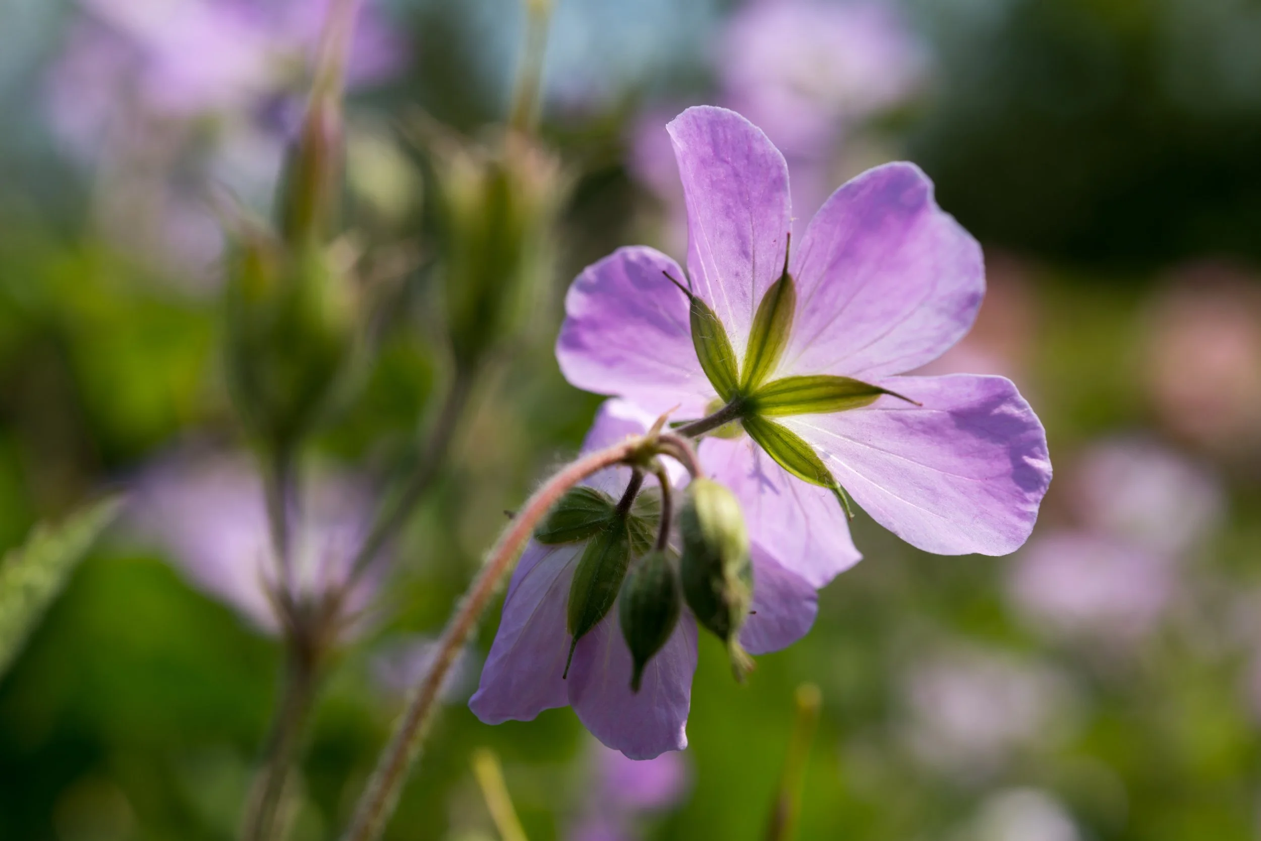 AdobeStock_501818367.jpeg
