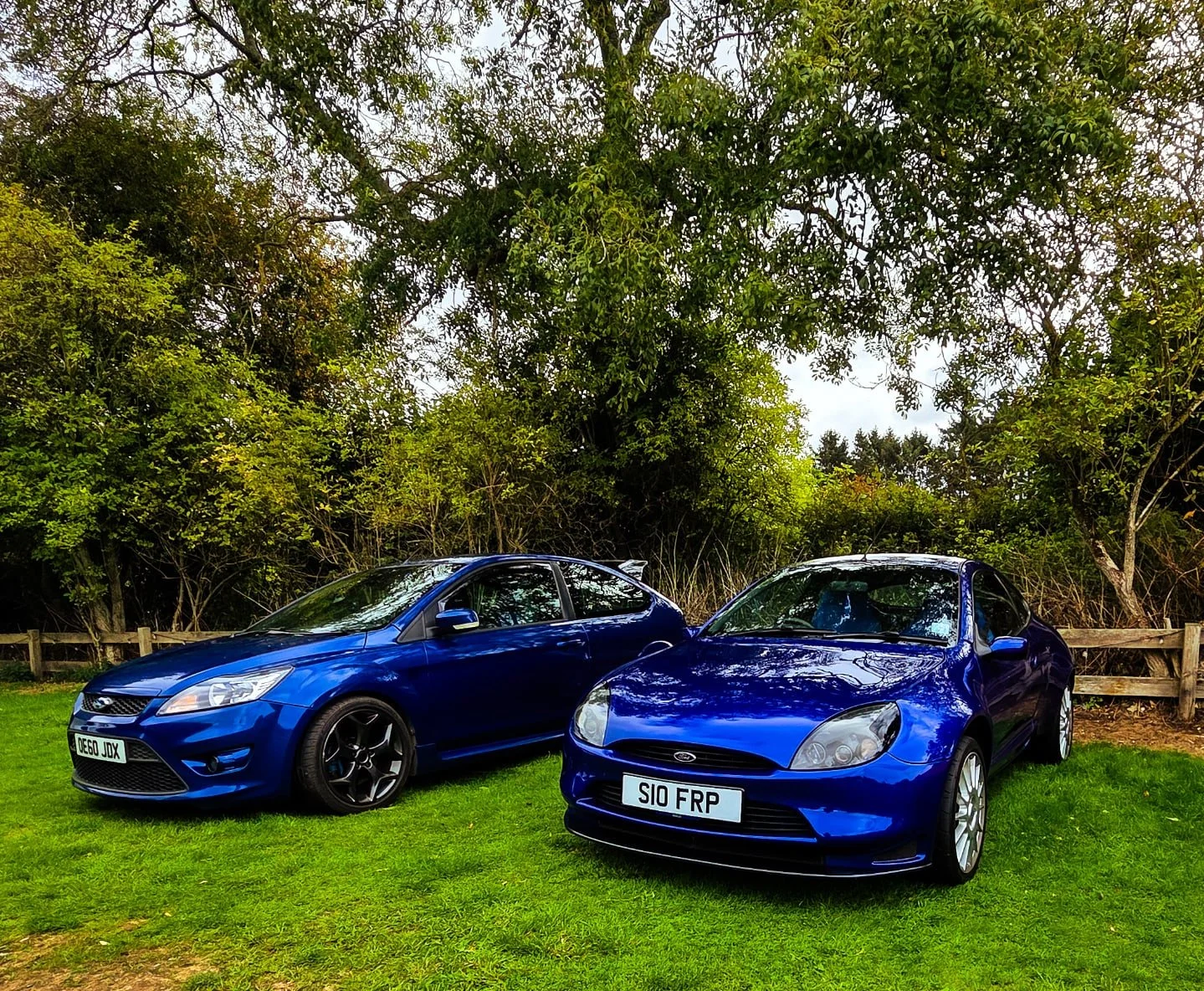 Performance Blue &amp; Imperial Blue