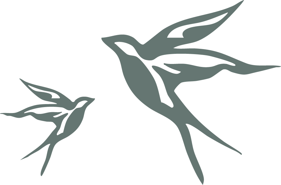 Stylized illustration of two hummingbirds flying towards each other.