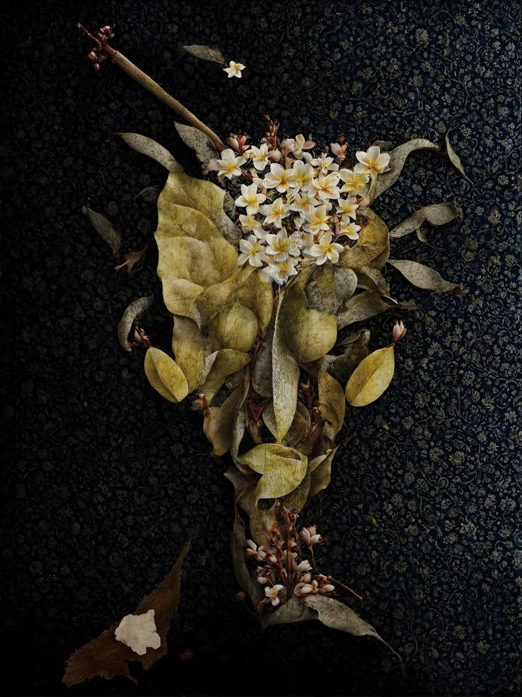 I want to live forever, 2025, UV print on teak wood with crystal by Konstantin Grouss