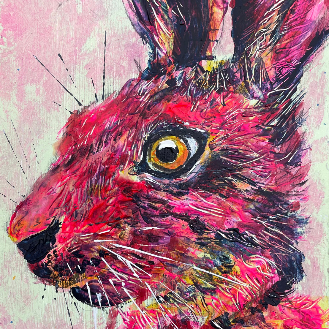 Pink Hare