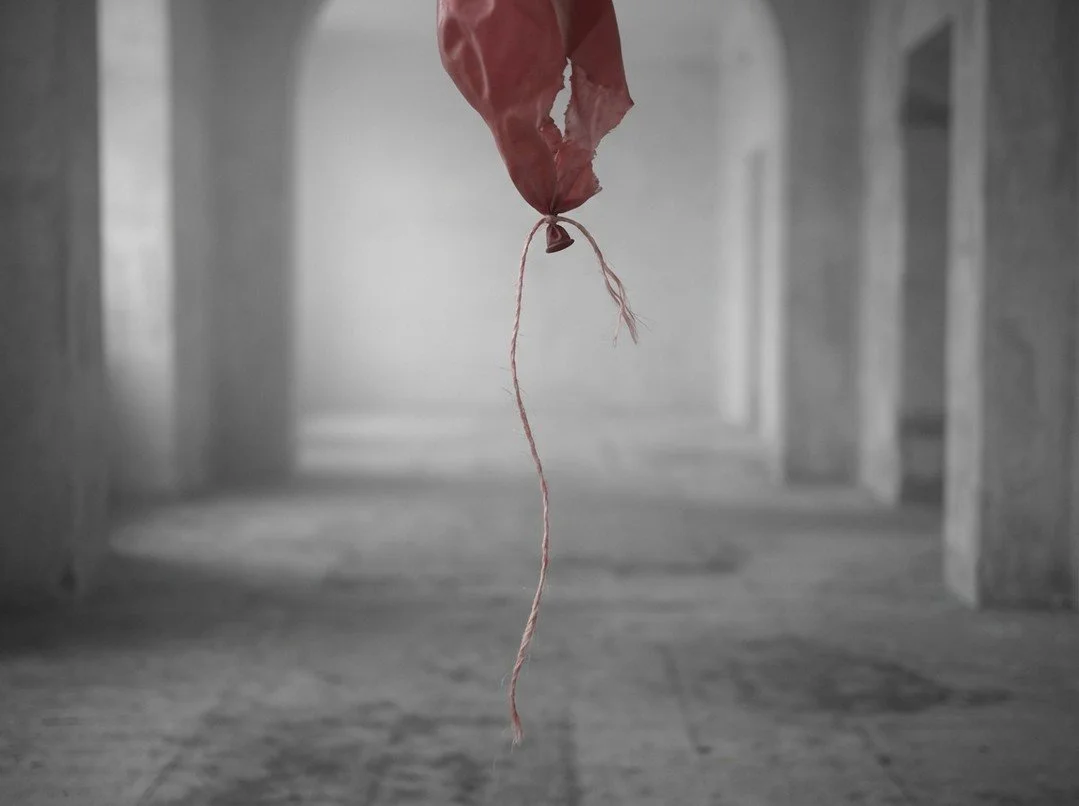 It&rsquo;s easy to lose sight of the importance of pausing to enjoy the successful fruits of our efforts in the midst of the striving for our goals and the noise of the crazy world around us. This week I stop to at least acknowledge the roses on my j