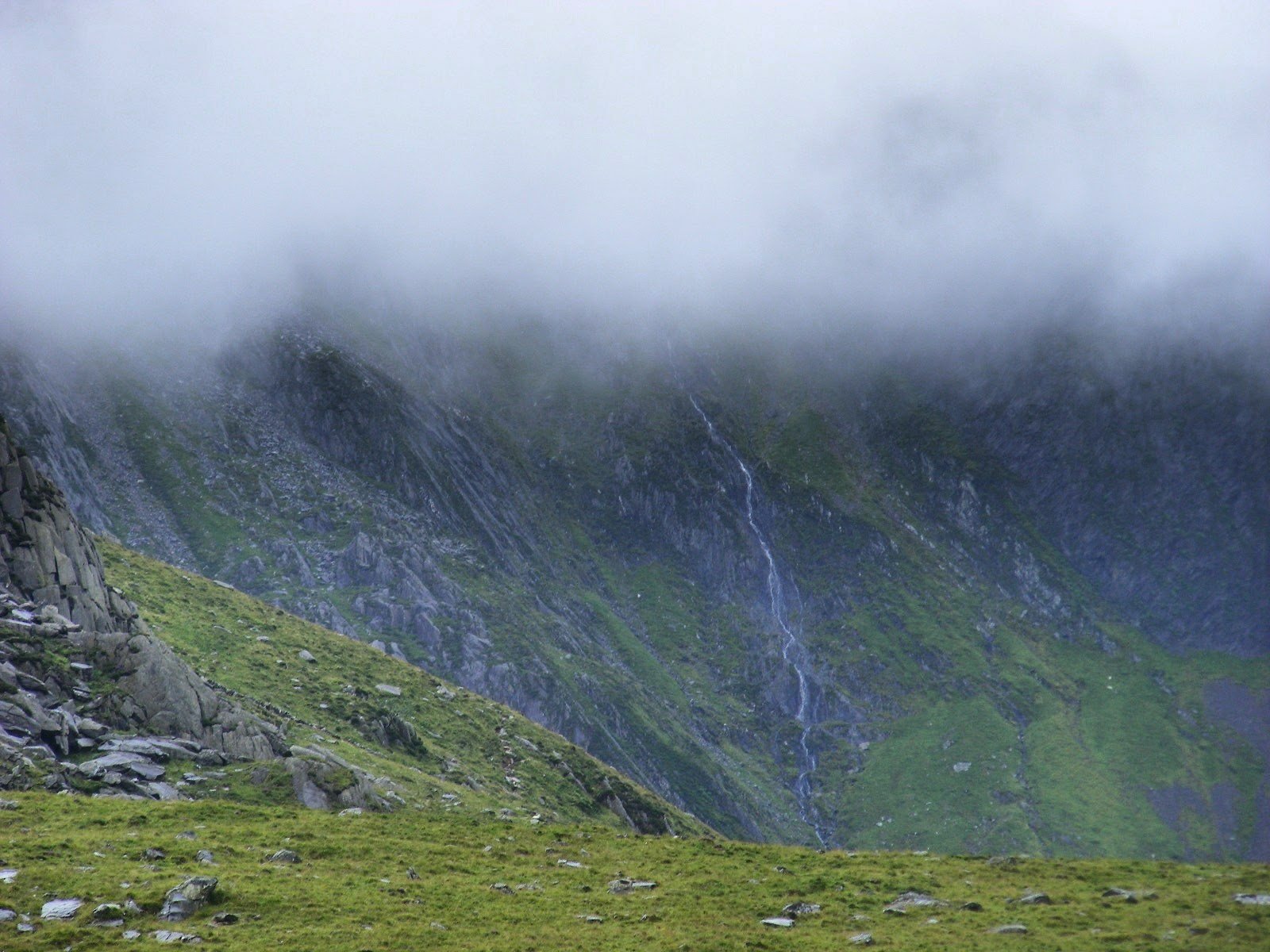 Out of the Fog