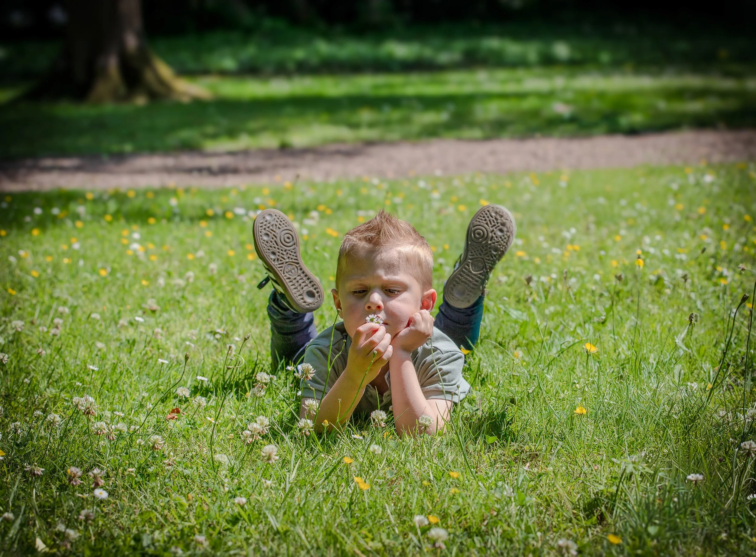 Un garçon allongé sur l'herbe dans un parc, soufflant des fleurs, avec des chaussures visibles, des arbres en arrière-plan et un chemin derrière lui.
