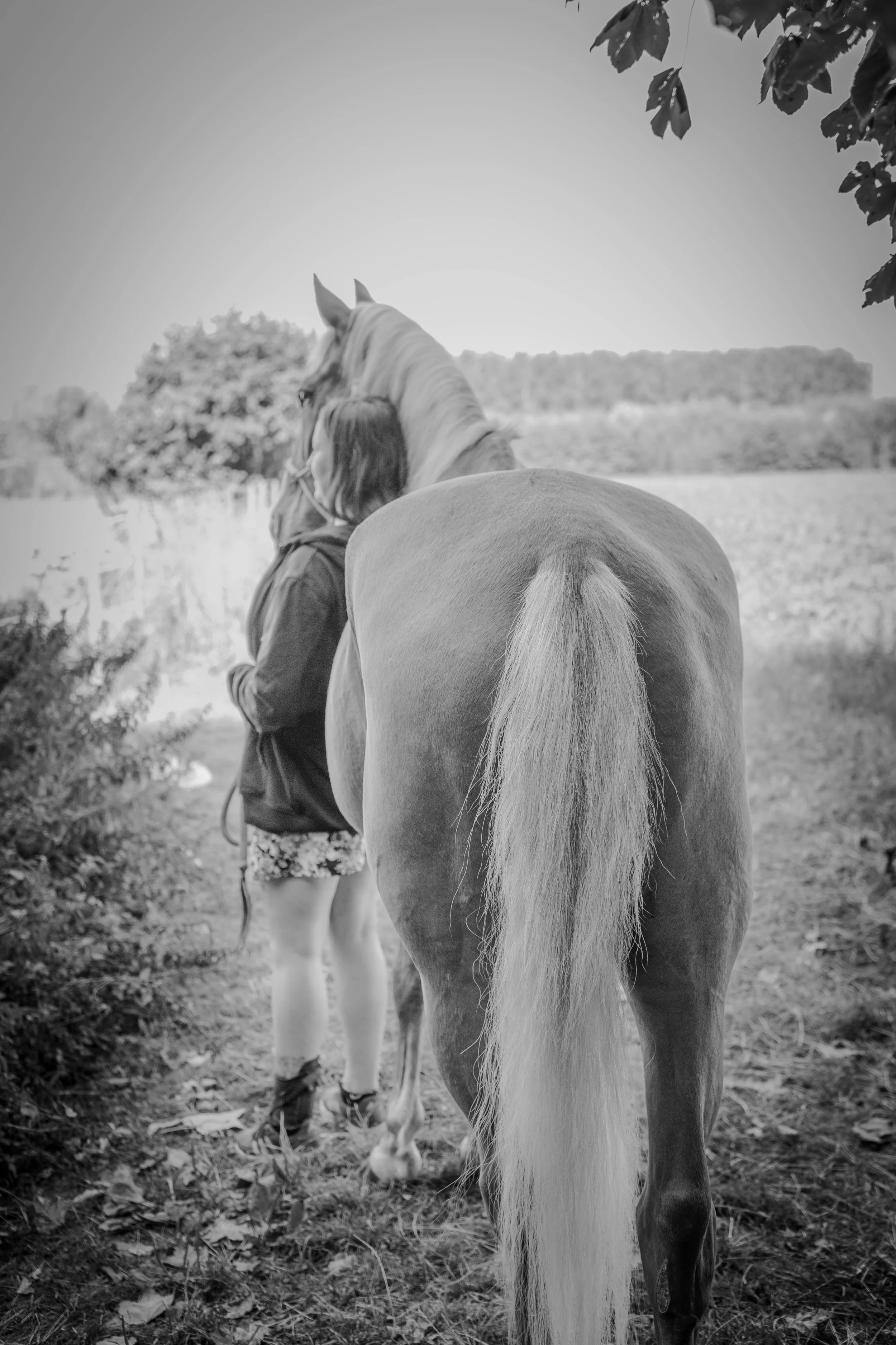 Une personne debout derrière un cheval, vue de dos, avec un paysage rural en arrière-plan, en noir et blanc.