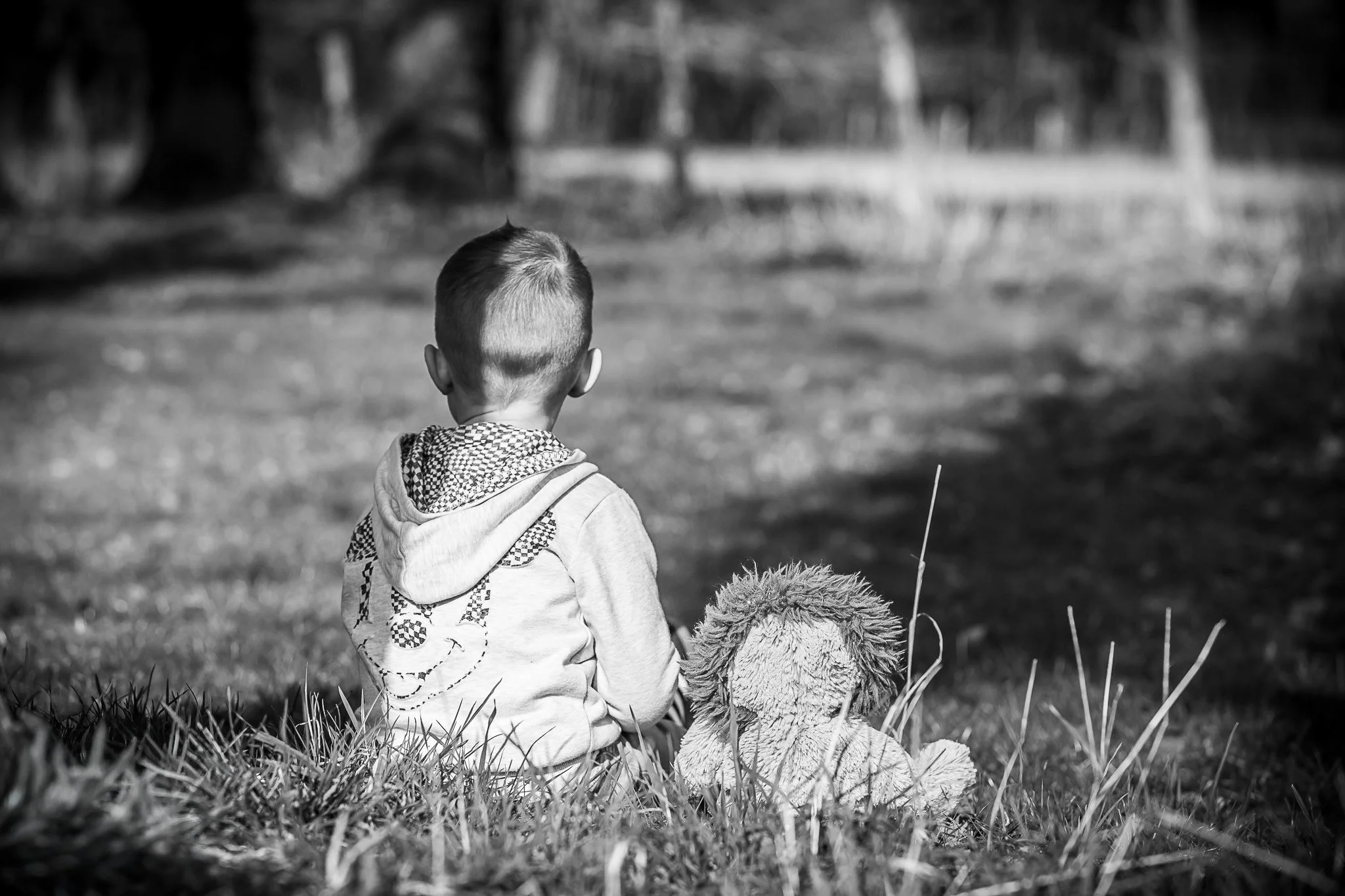 Un garçon assis dans l'herbe, vu de dos, avec un Ourson en peluche à côté. La scène est extérieure avec des arbres en arrière-plan.