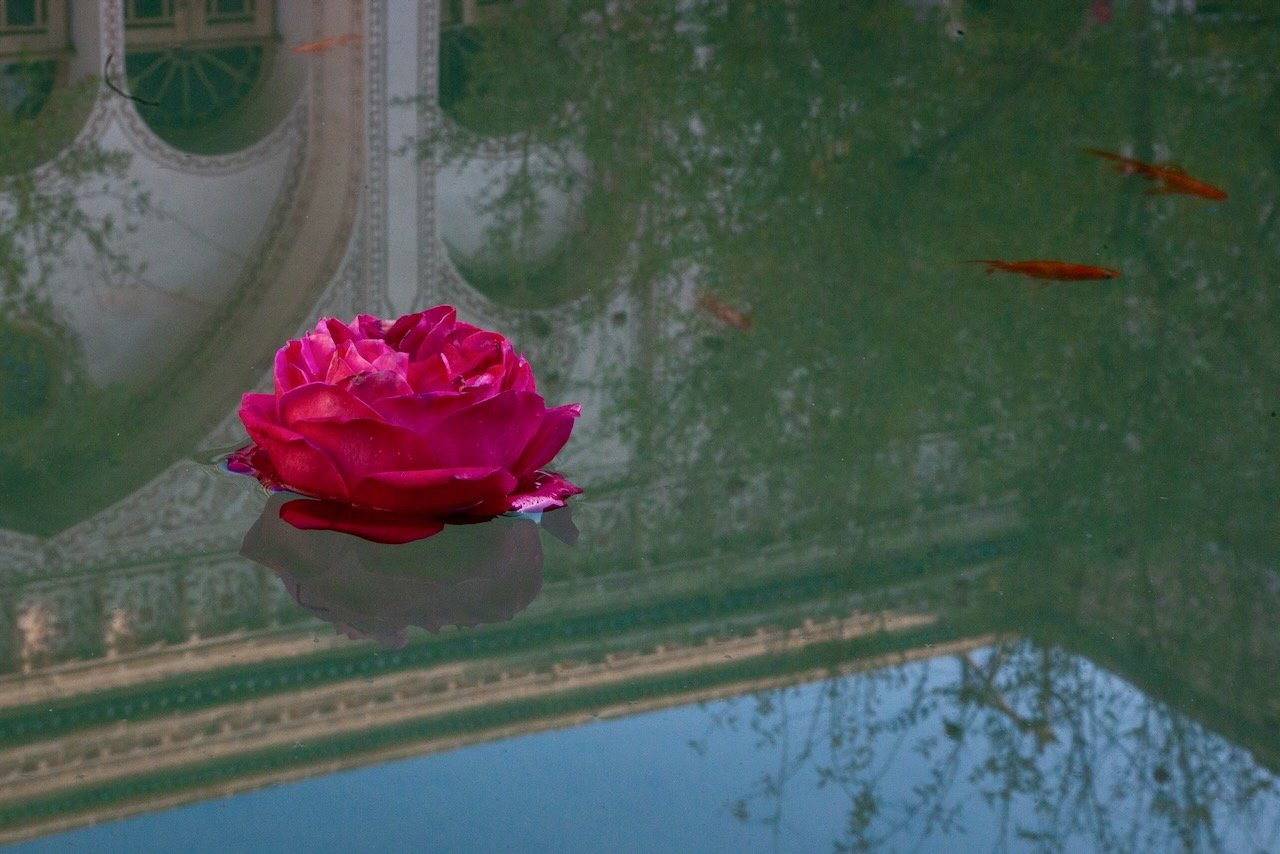 Anahita - 7 of 9.jpeg