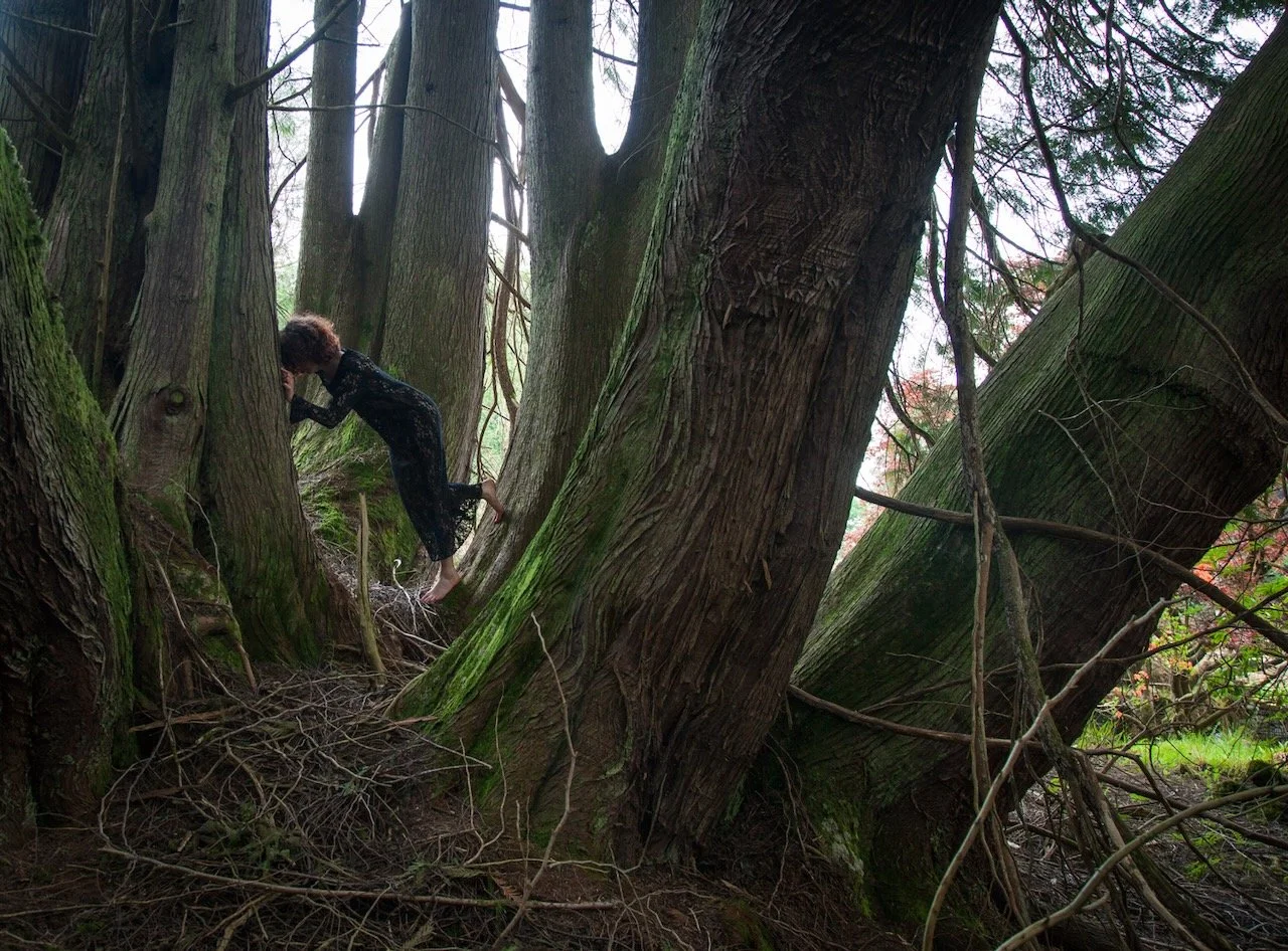 recovery - 8 of 15.jpeg